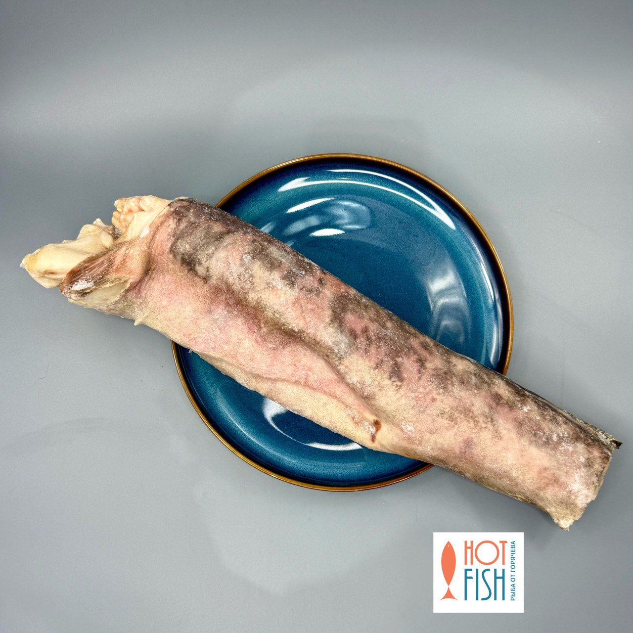 photo_5465654130127867044_y