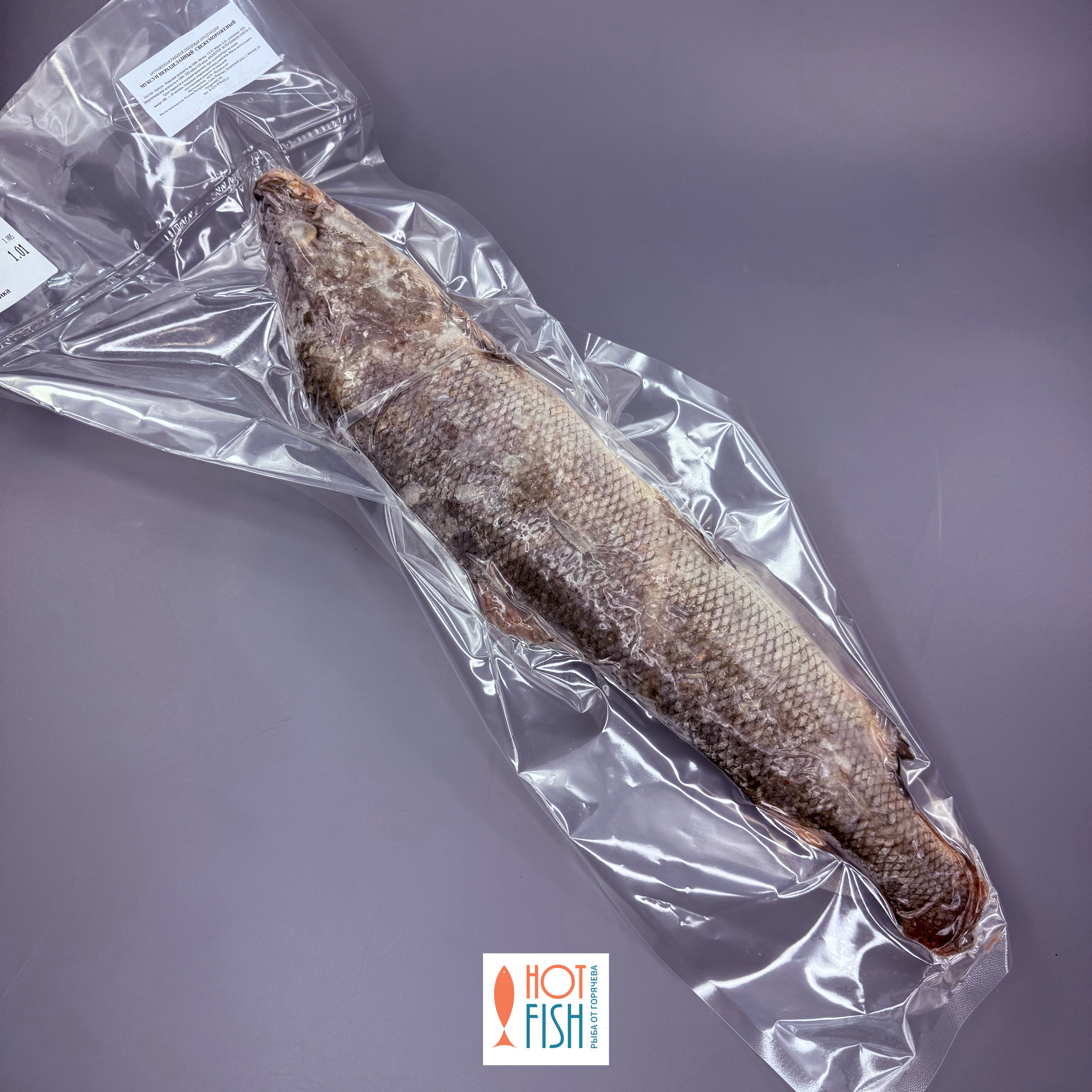 copy_CE681C6C-AC24-4E3A-AE98-BA34077D1DD6