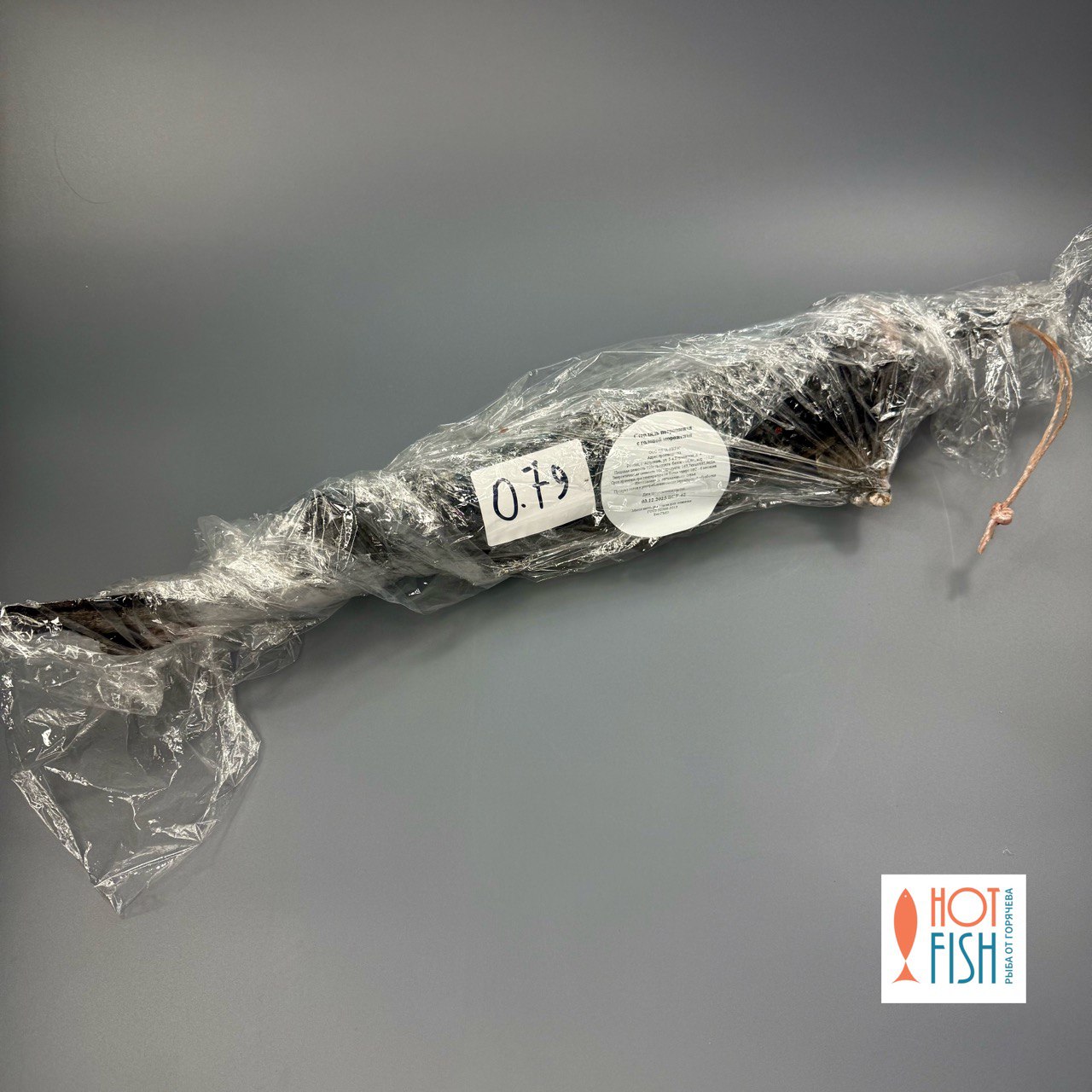 photo_5339188105132575842_y