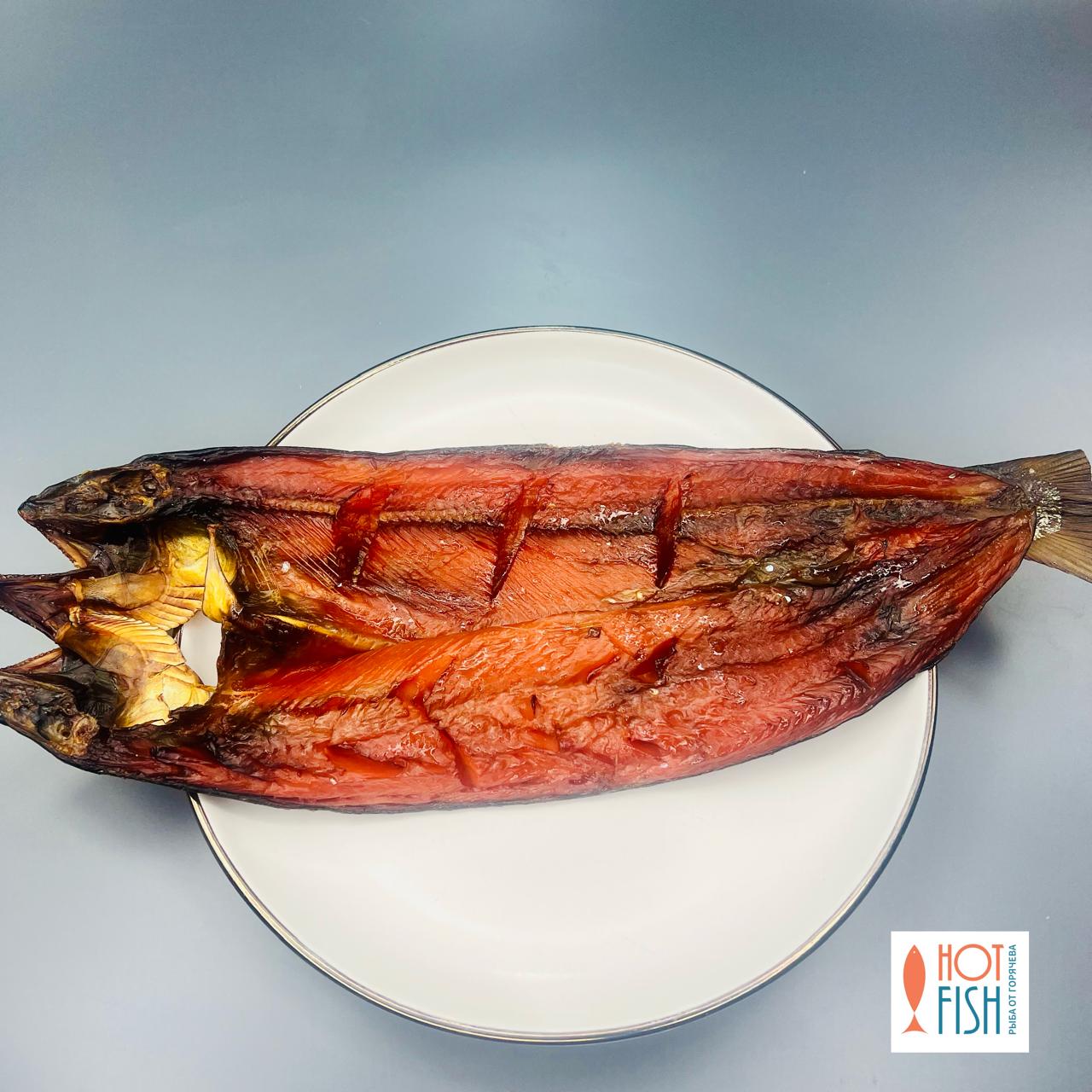 WhatsApp Image 2025-11-01 at 16.27.18