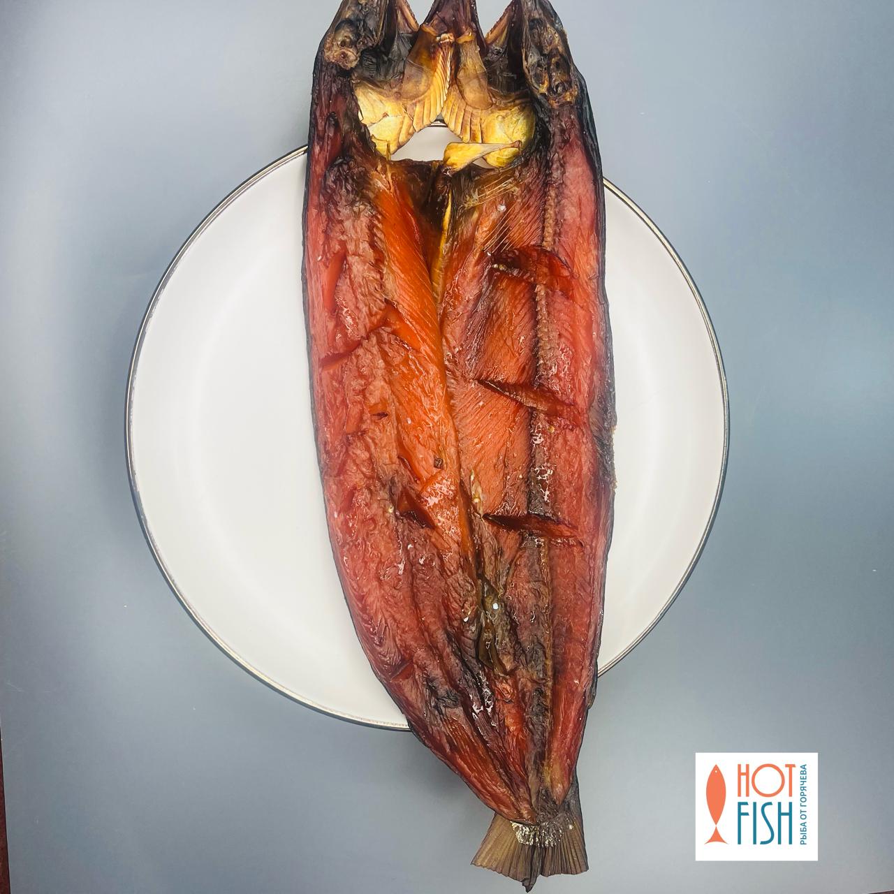 WhatsApp Image 2025-11-01 at 16.27.18 (1)