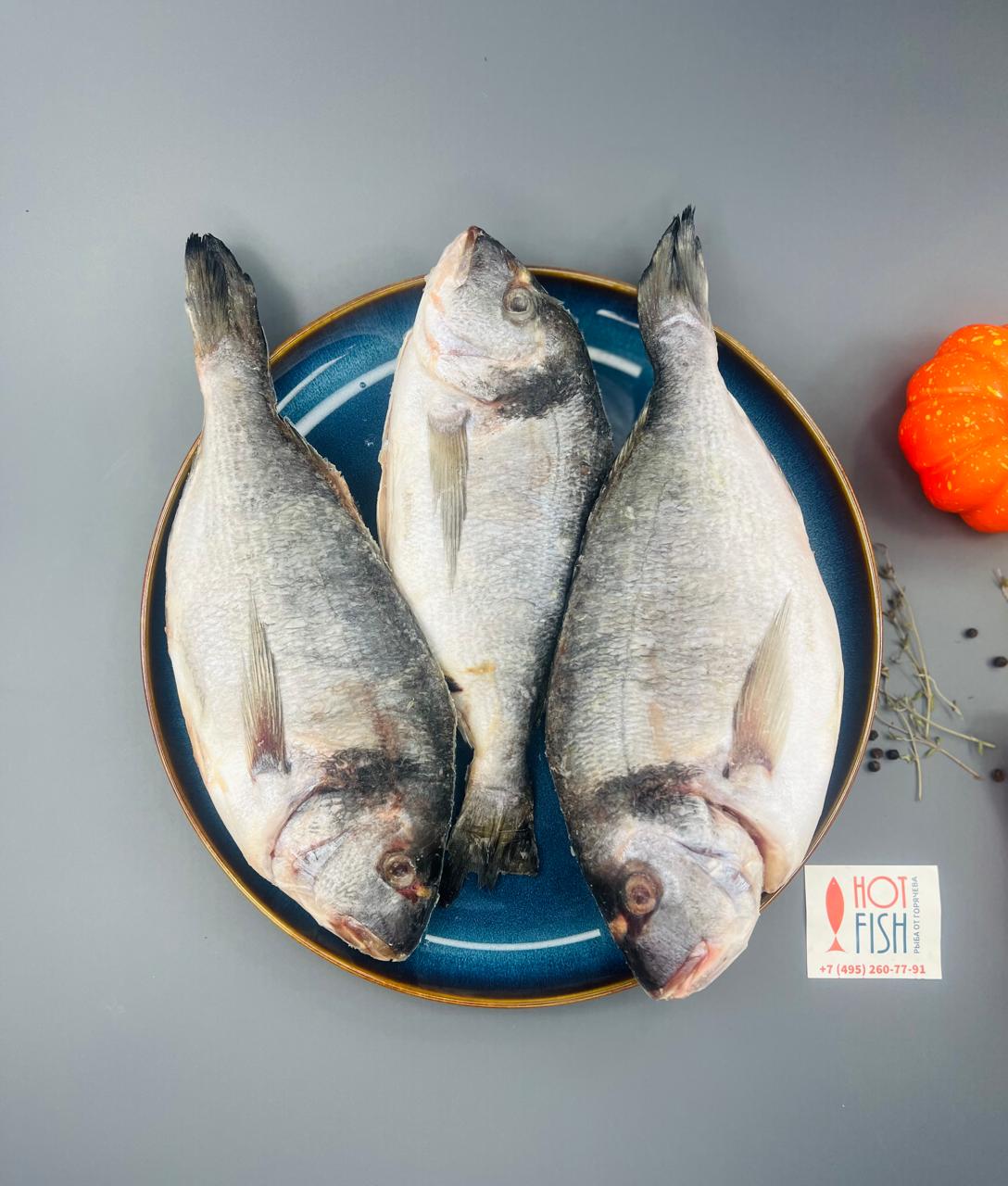 WhatsApp Image 2025-06-23 at 14.39.31