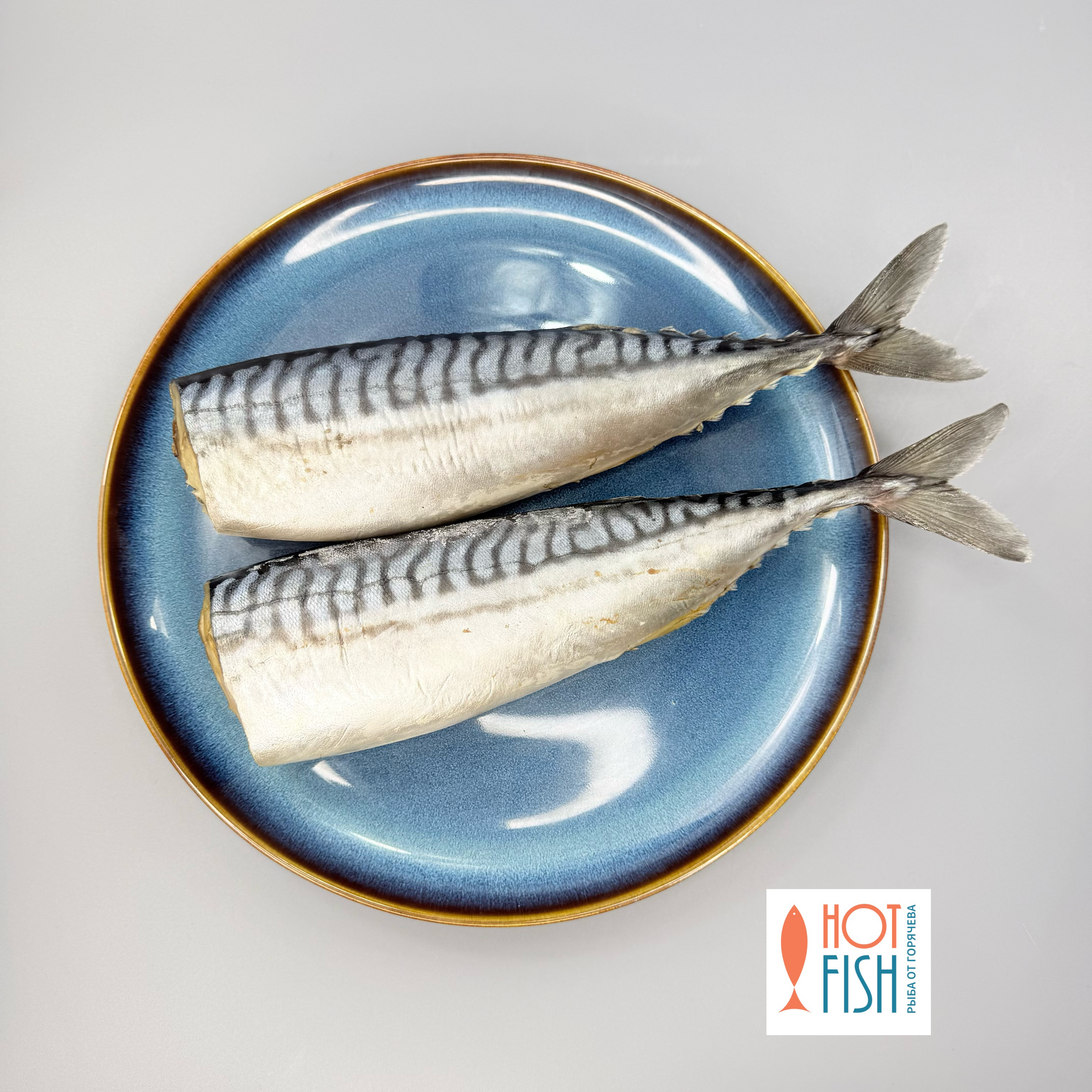 copy_D28B532A-0983-42B1-BBF0-7DDB0C40997D