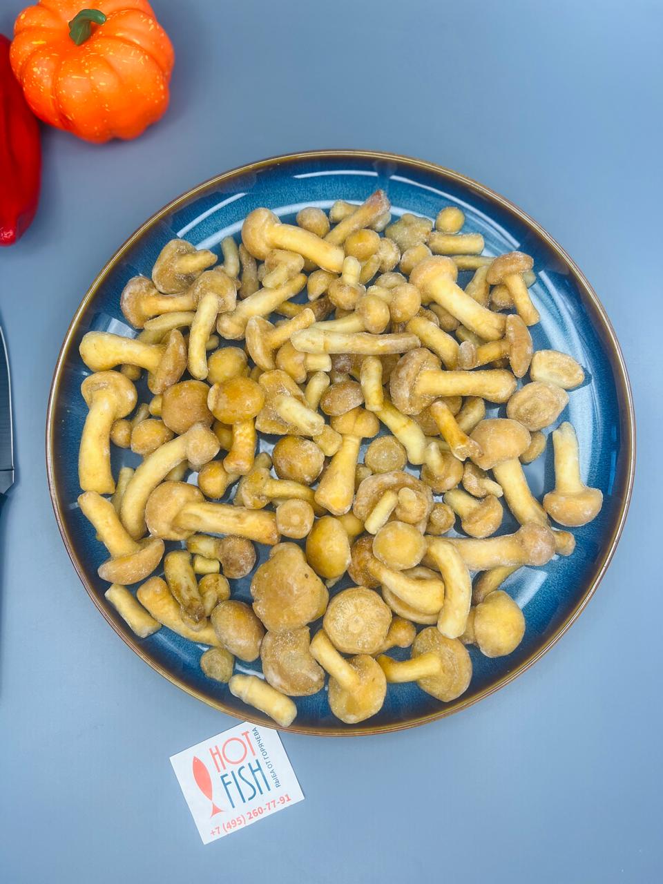 WhatsApp Image 2025-04-04 at 10.48.14