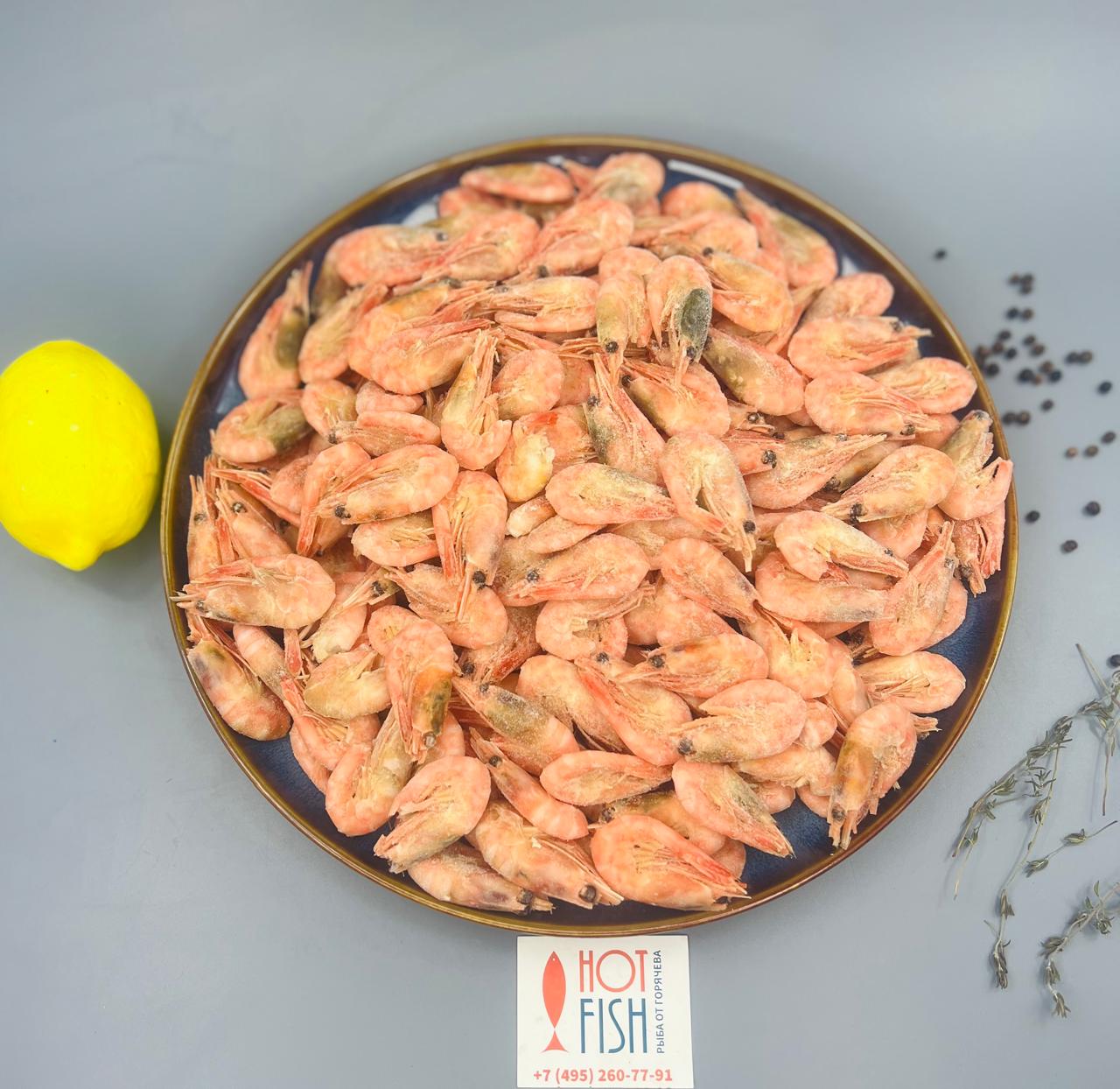 WhatsApp Image 2025-04-23 at 16.15.50