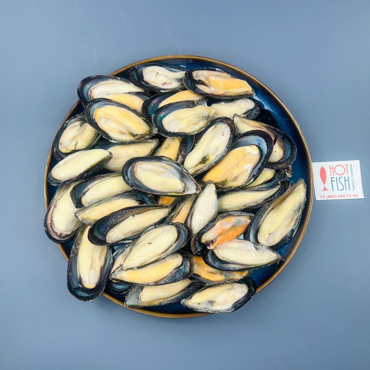 WhatsApp Image 2025-06-30 at 19.46.22