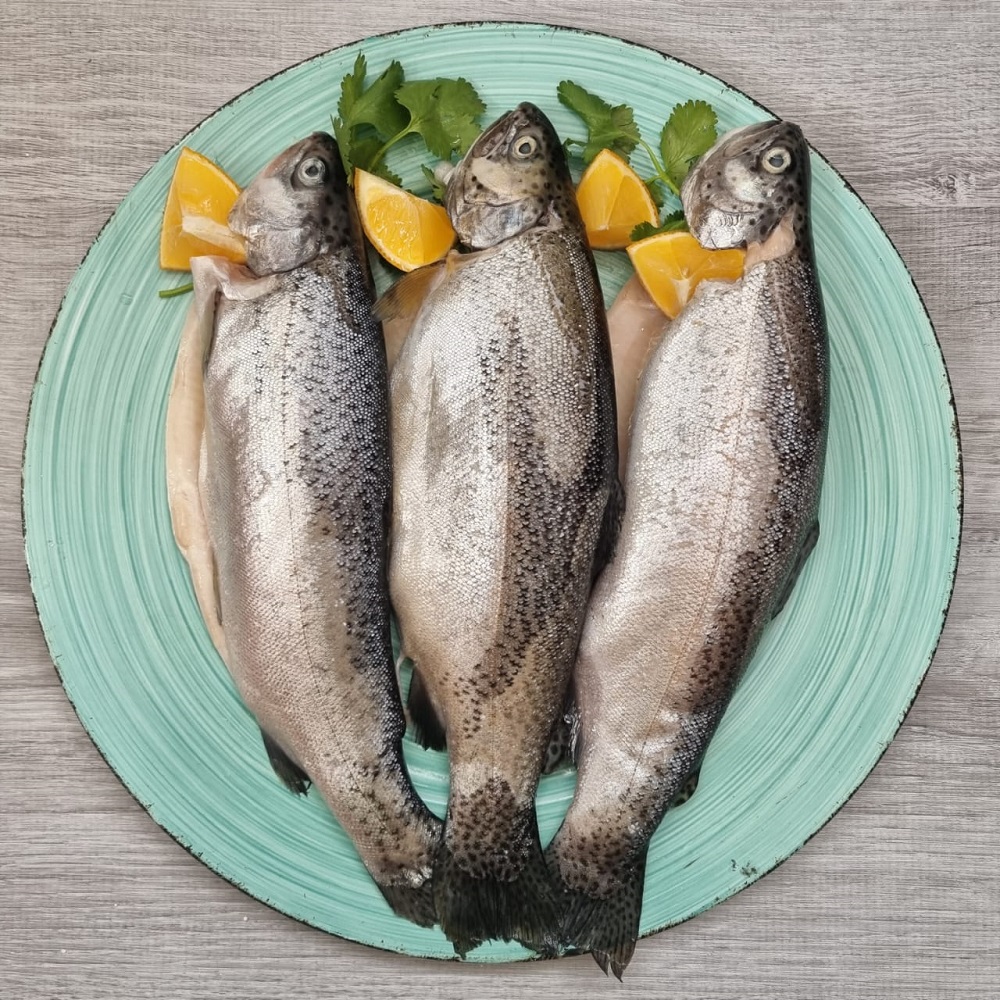 форель турция форель турция