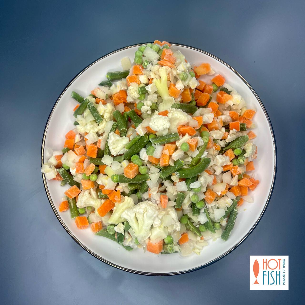 WhatsApp Image 2025-11-18 at 17.30.26