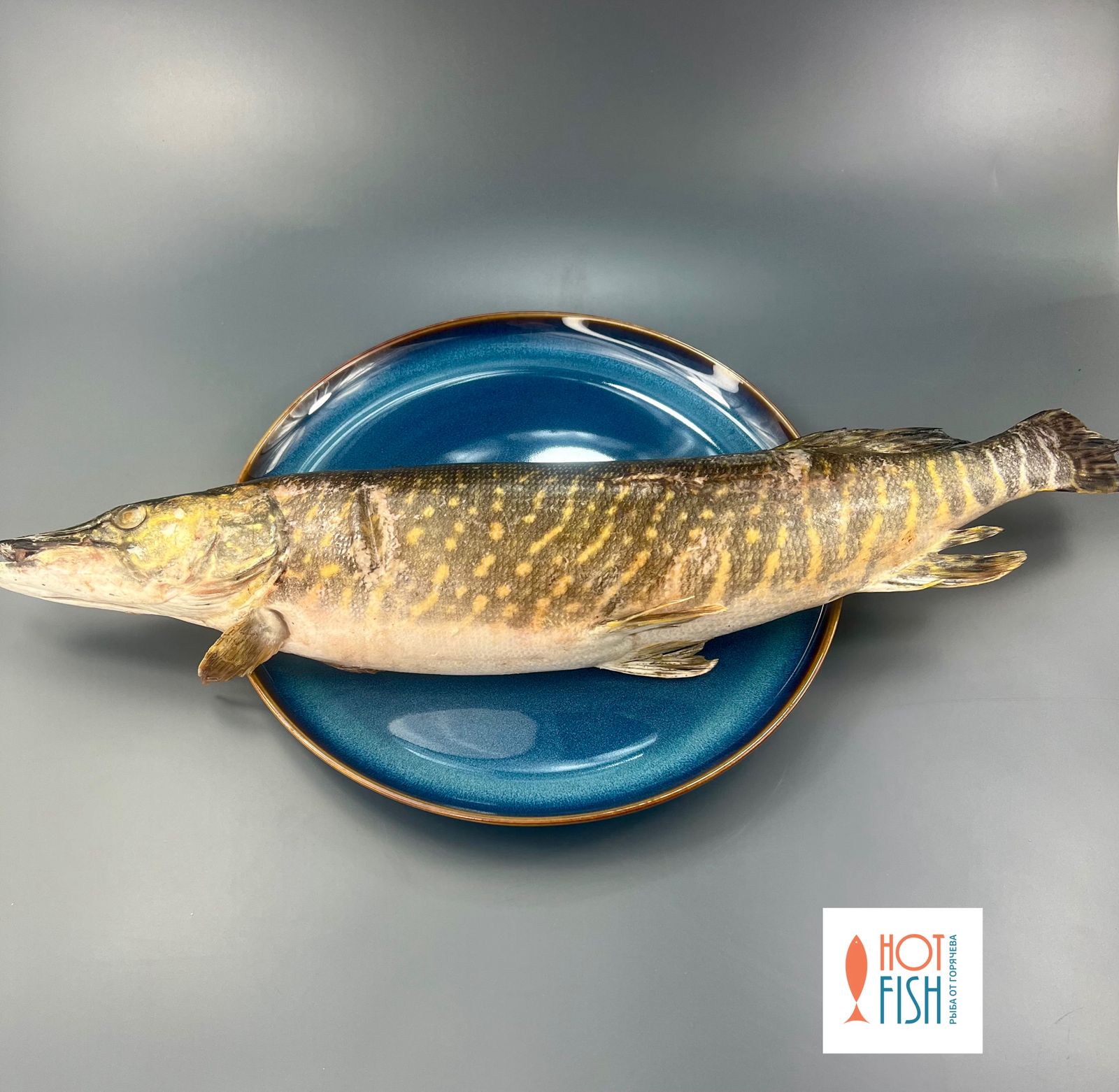 WhatsApp Image 2025-09-17 at 16.34.41