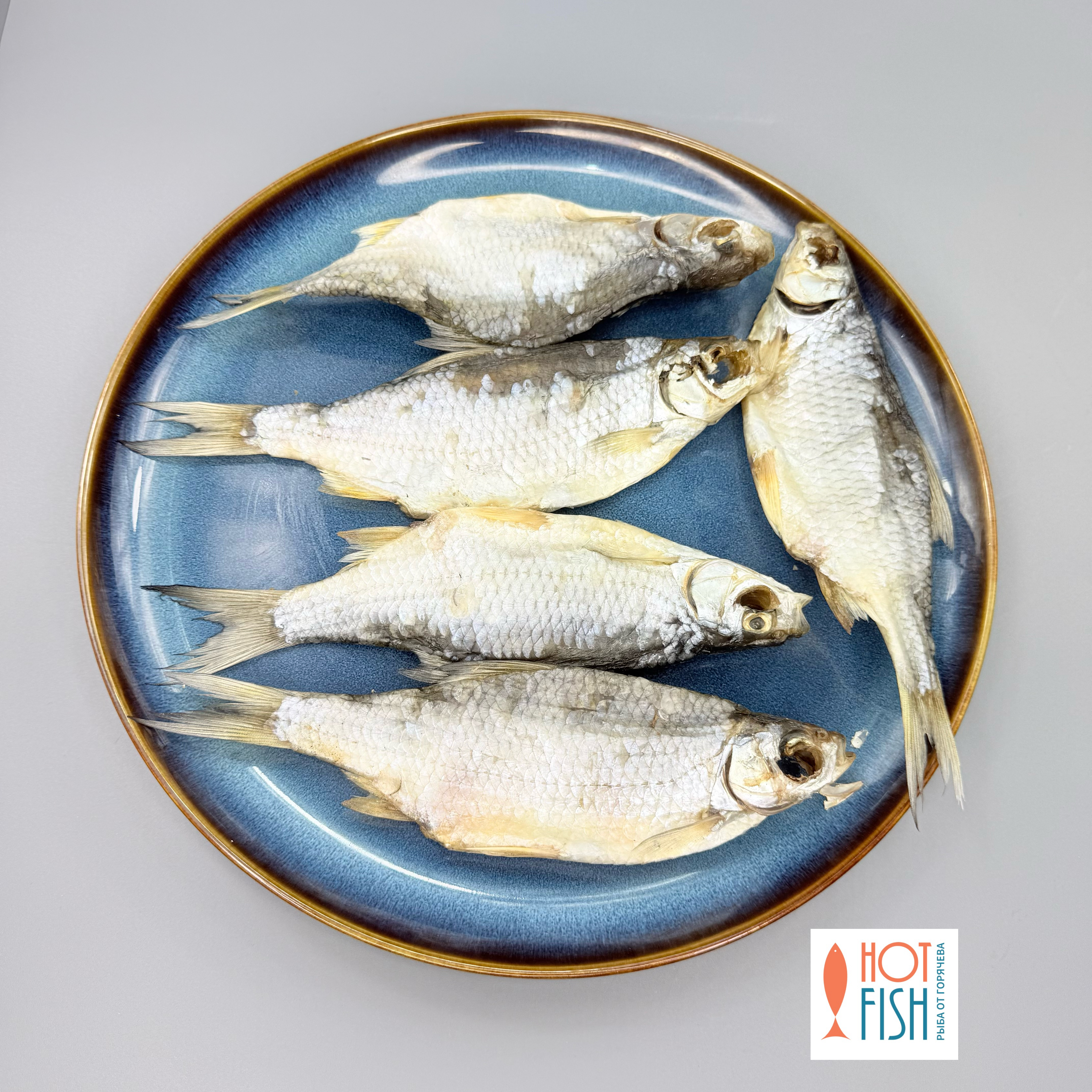 copy_558FB365-AD71-407B-A4C3-6B9C16C779BE