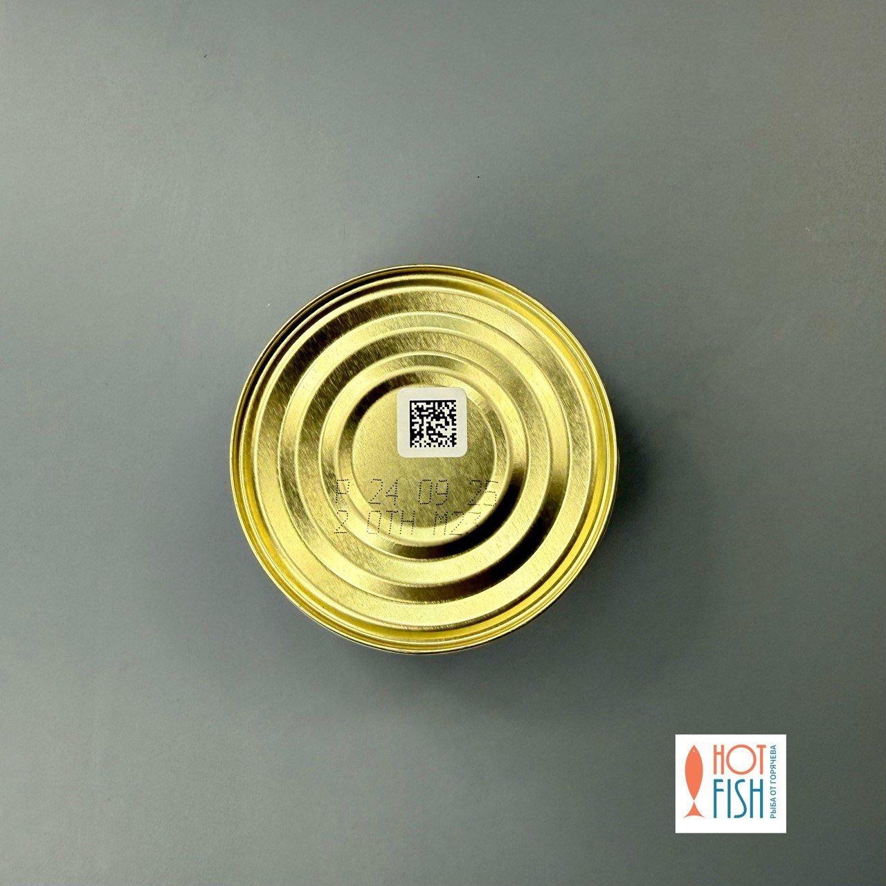 photo_5224666680540205310_y