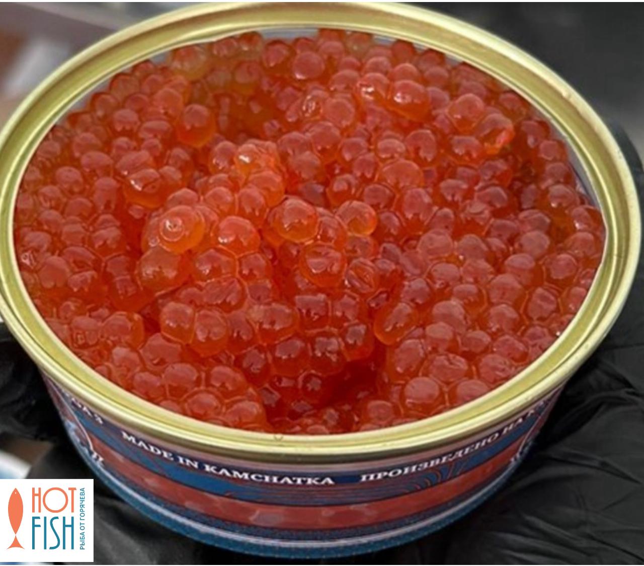 WhatsApp Image 2025-11-13 at 14.40.09