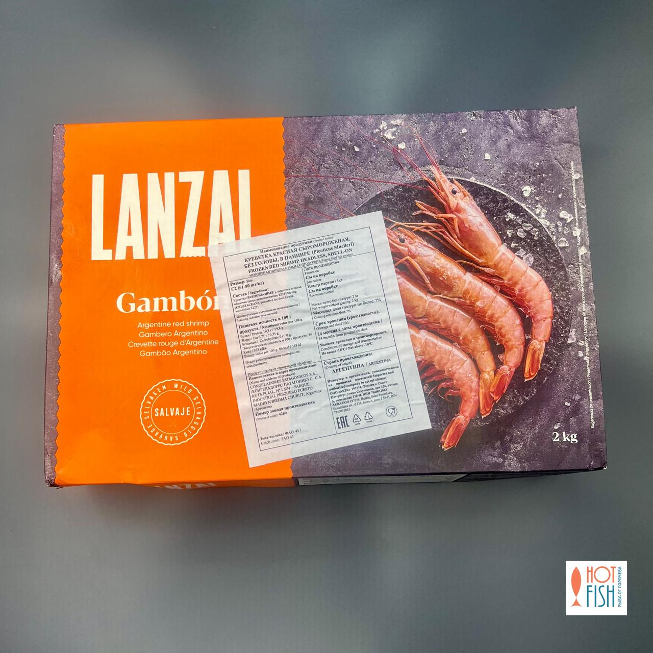 WhatsApp Image 2025-10-13 at 11.20.26