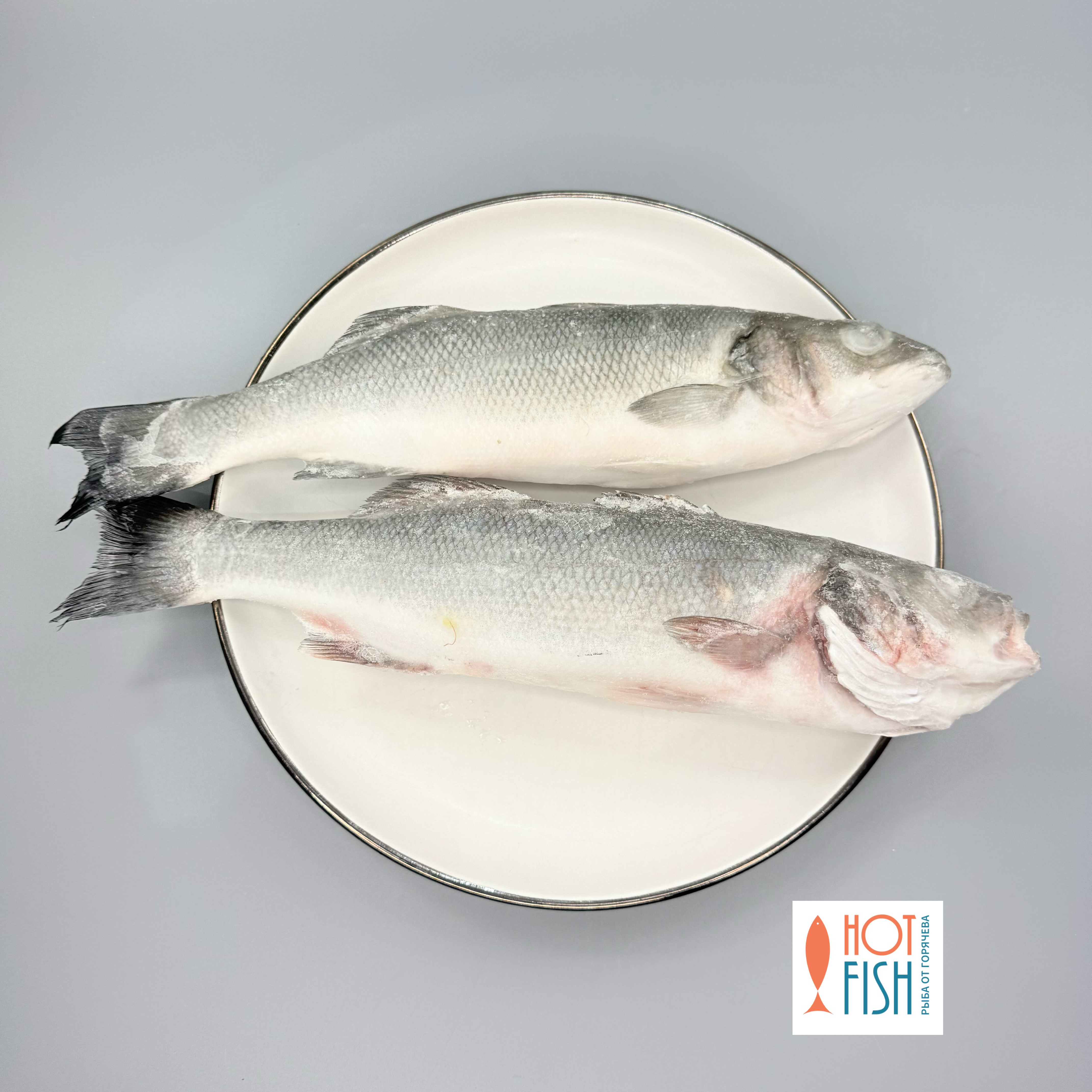 copy_45001430-4824-4358-AC2F-5E1E58D97A73