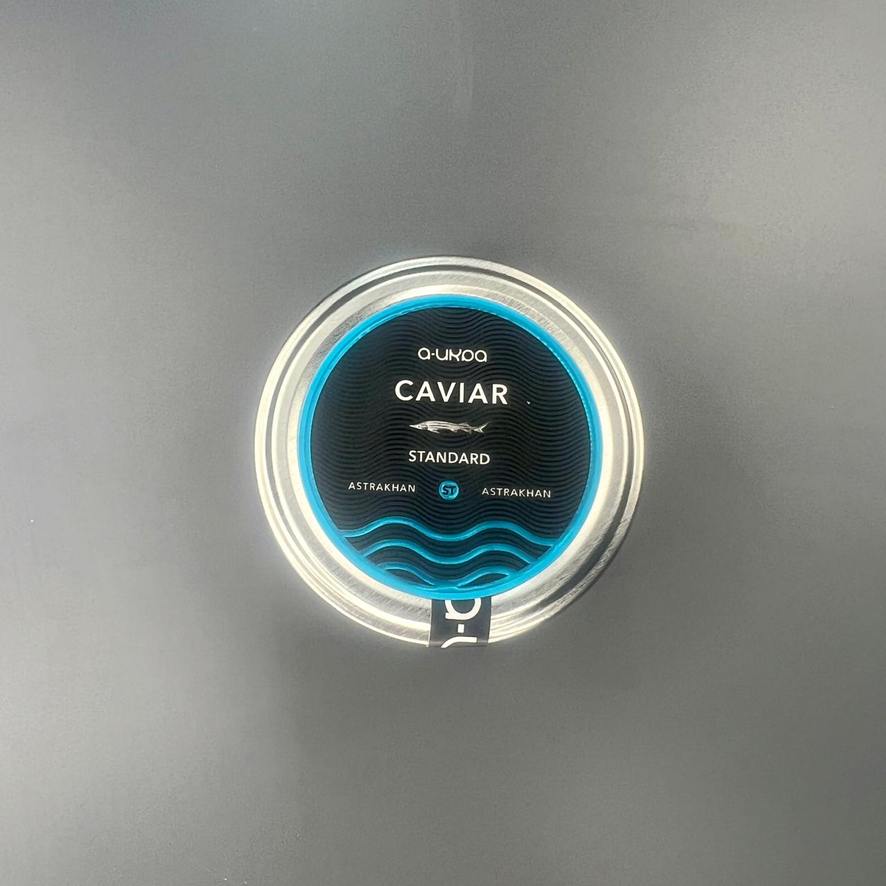 WhatsApp Image 2025-10-31 at 16.49.48