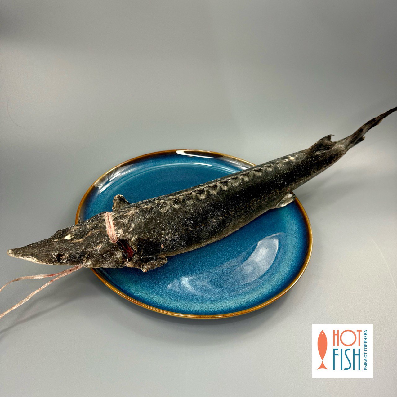 photo_5339188105132575843_y