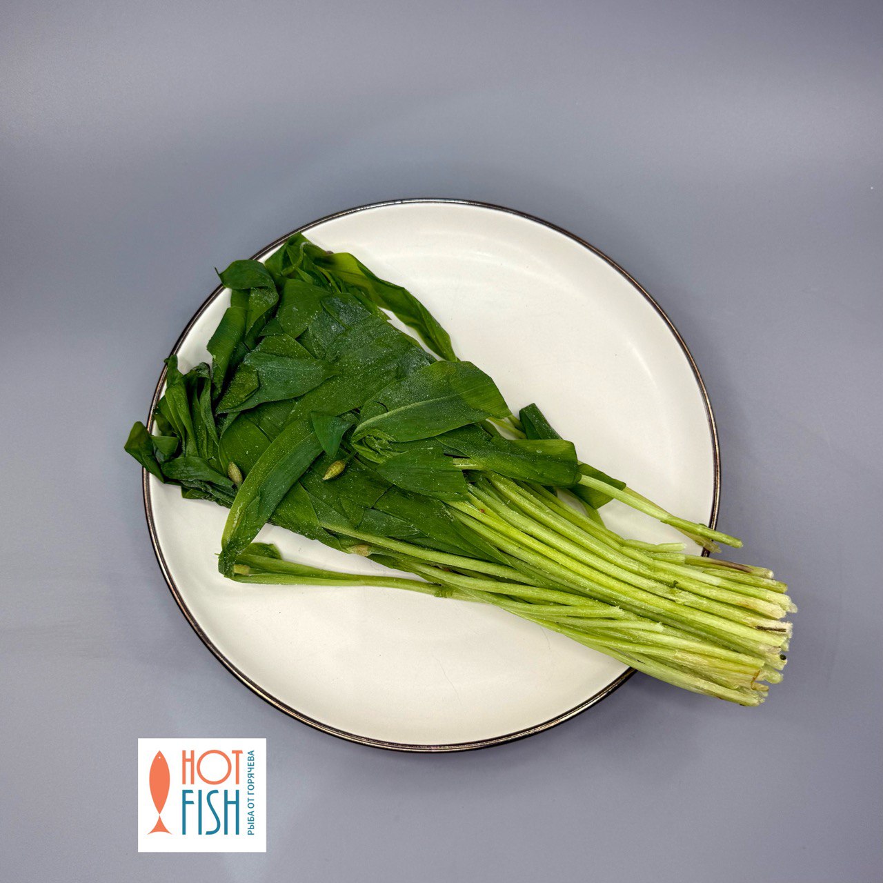 photo_5465654130127867039_y