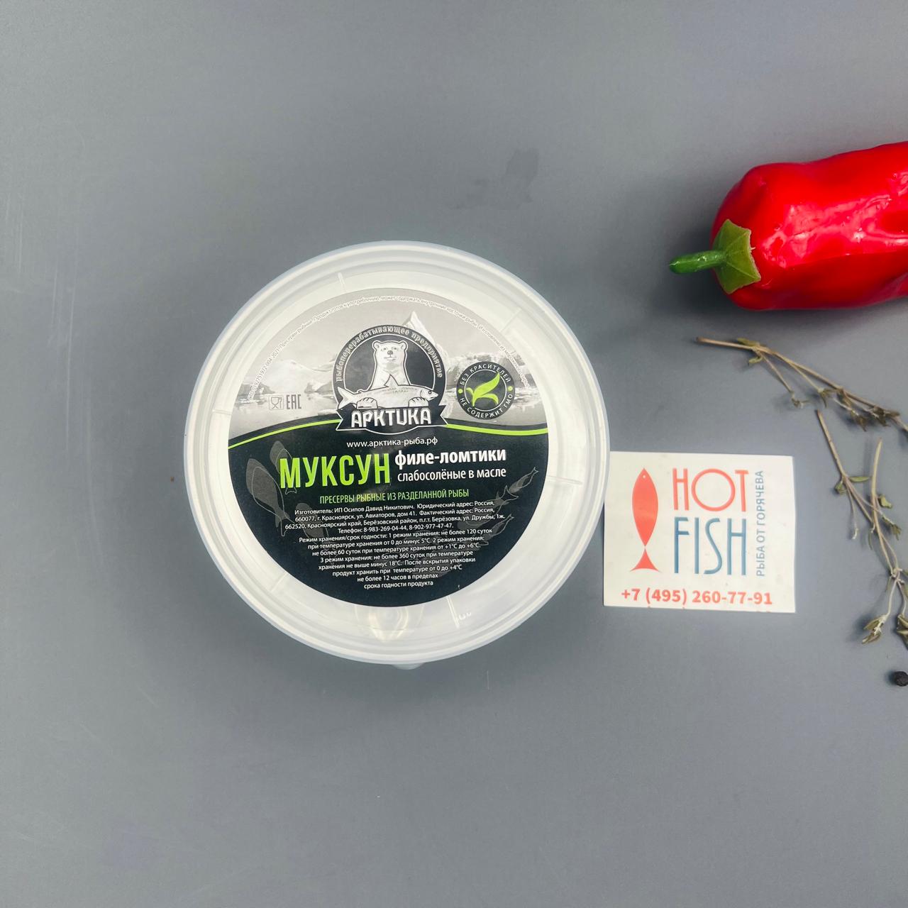 WhatsApp Image 2025-06-26 at 12.49.13