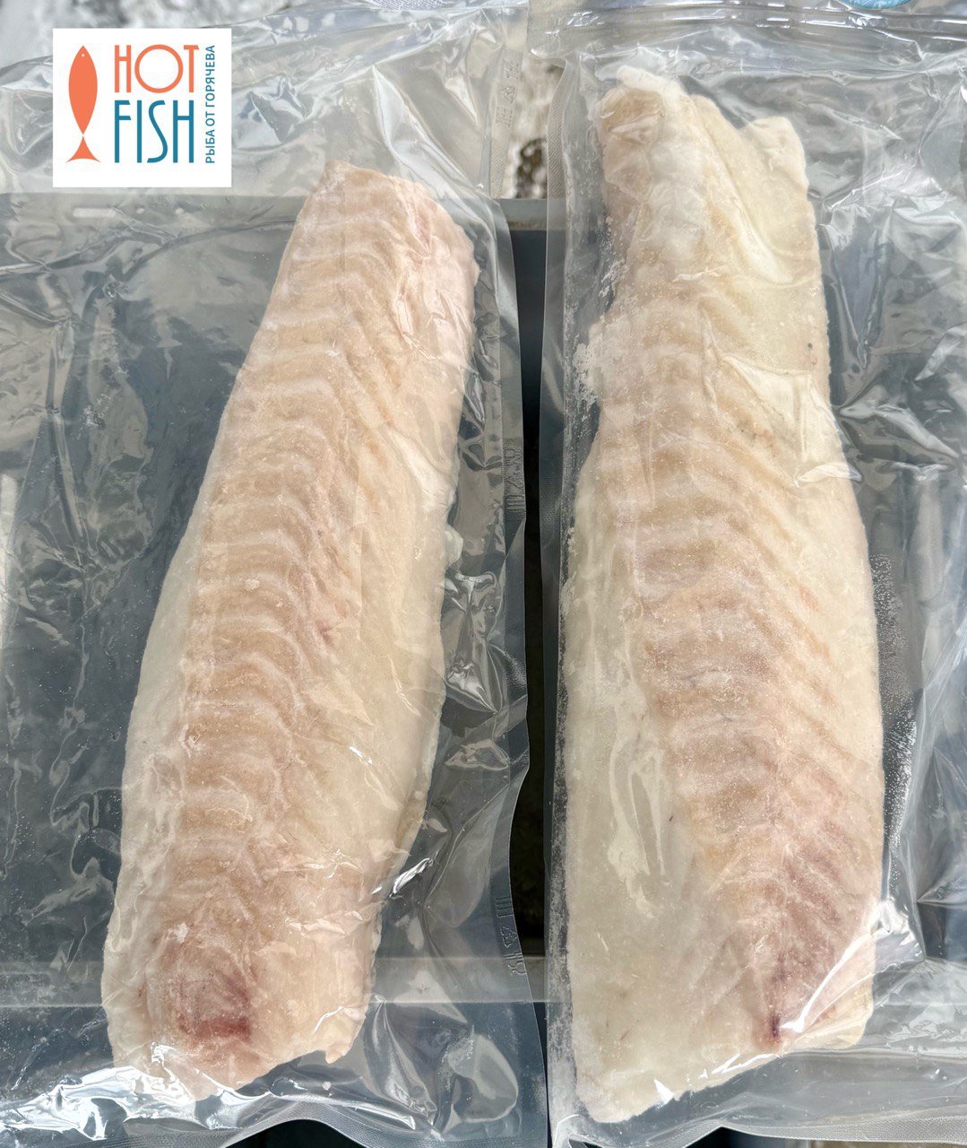 photo_5238167360479367614_y