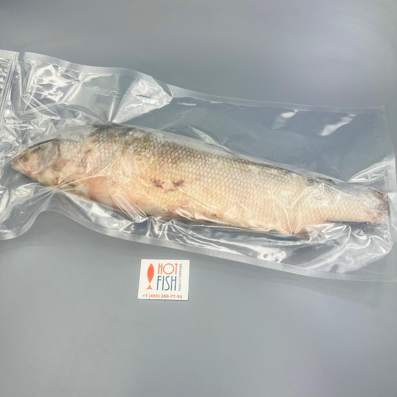 WhatsApp Image 2025-04-08 at 09.25.58