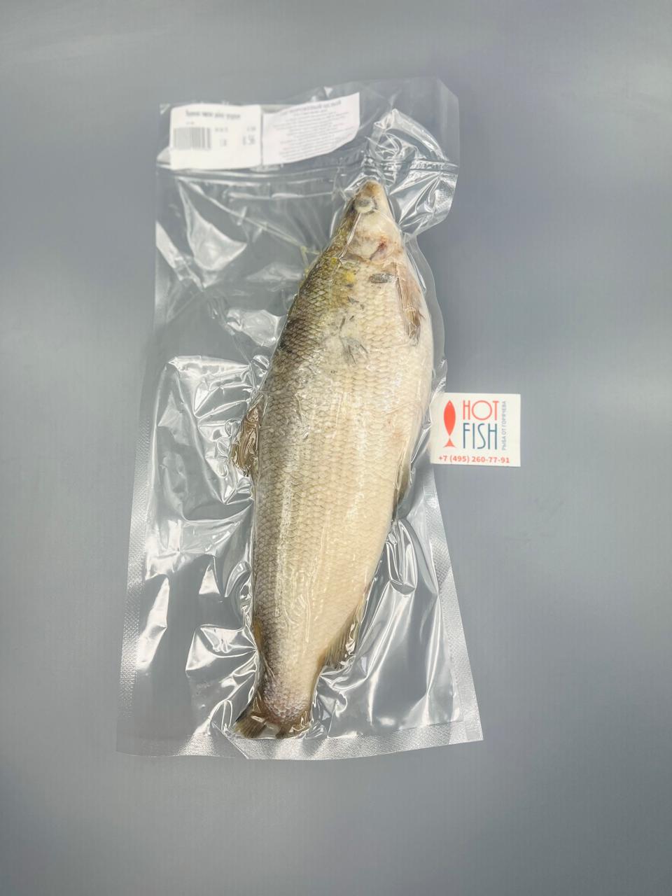 WhatsApp Image 2025-04-08 at 09.25.16