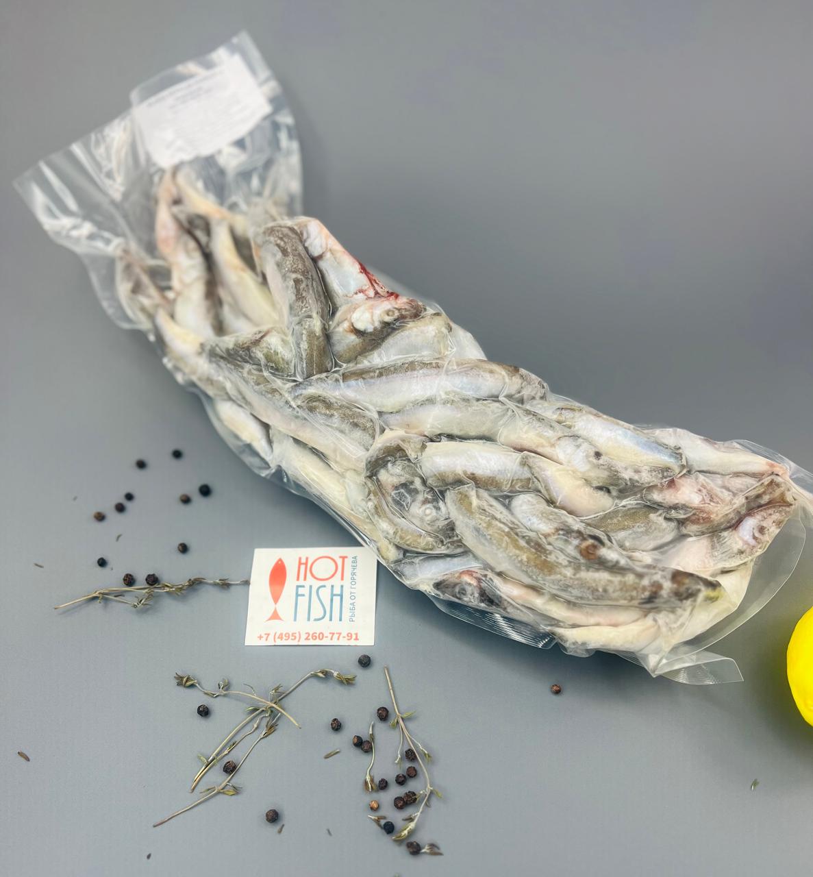 WhatsApp Image 2025-05-21 at 14.07.39 (1) WhatsApp Image 2025-05-21 at 14.07.39 (1)