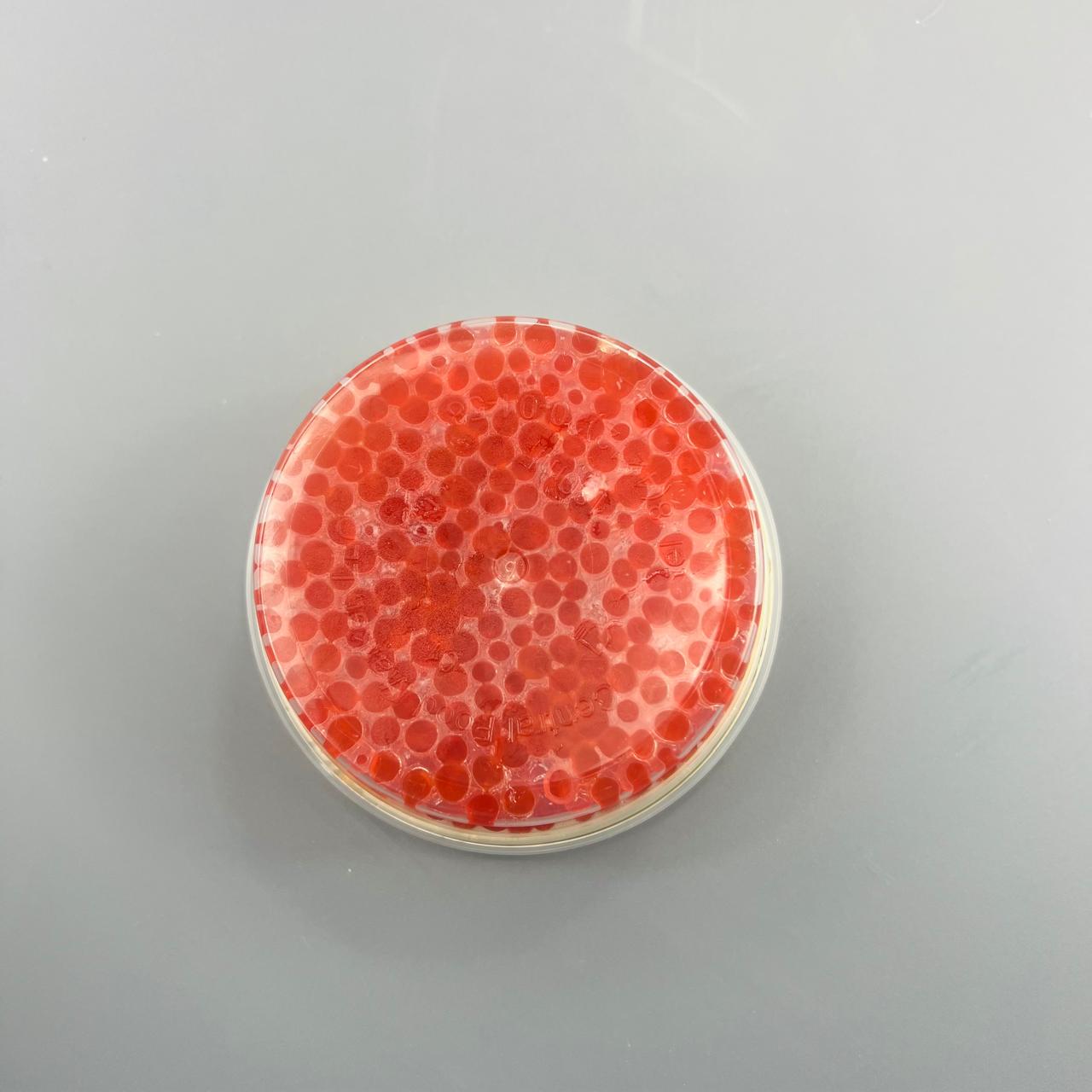 WhatsApp Image 2025-07-25 at 17.52.21 (3)