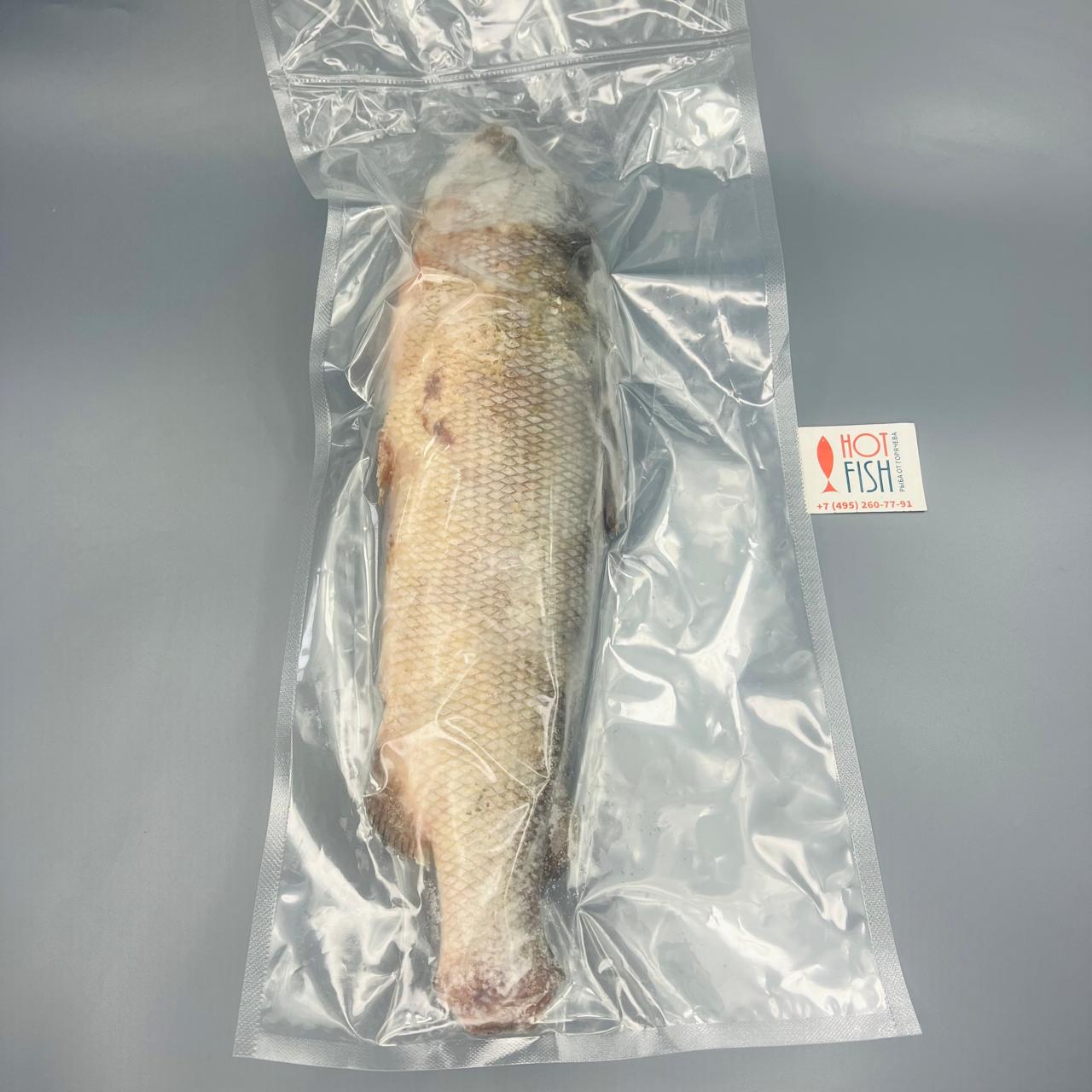 WhatsApp Image 2025-04-07 at 17.50.05