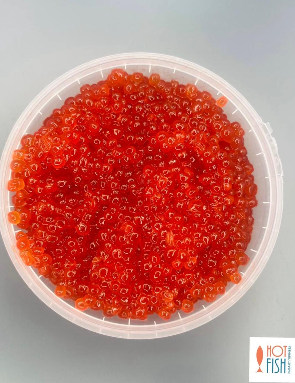 WhatsApp Image 2025-11-13 at 14.29.46