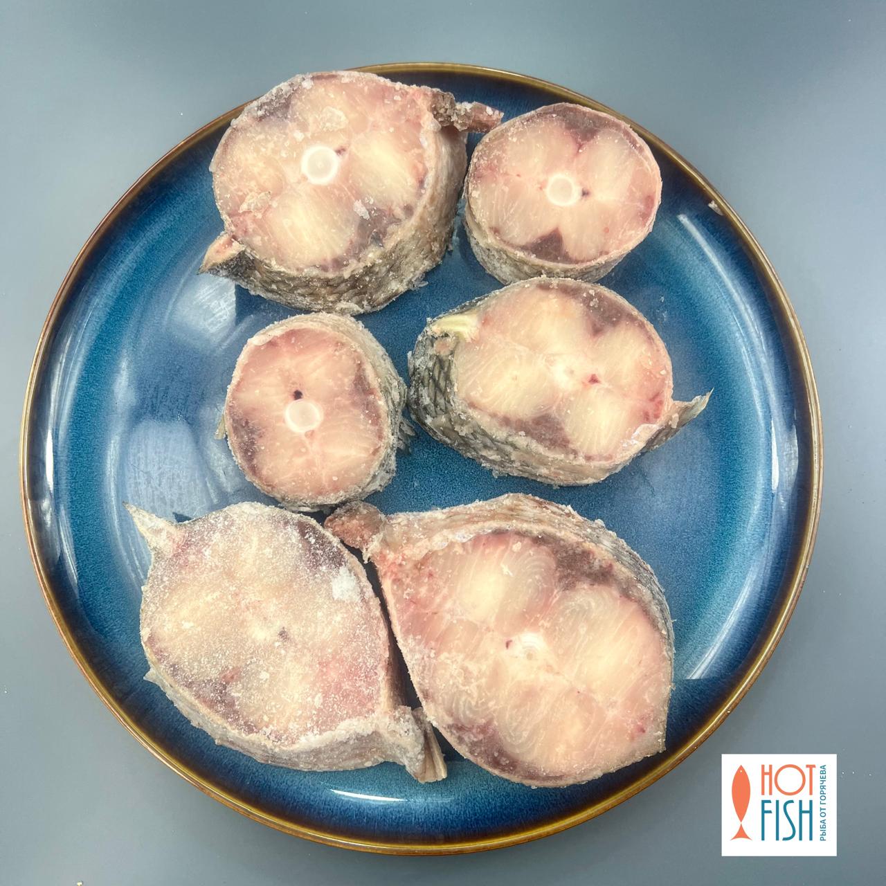 WhatsApp Image 2025-10-03 at 15.35.38