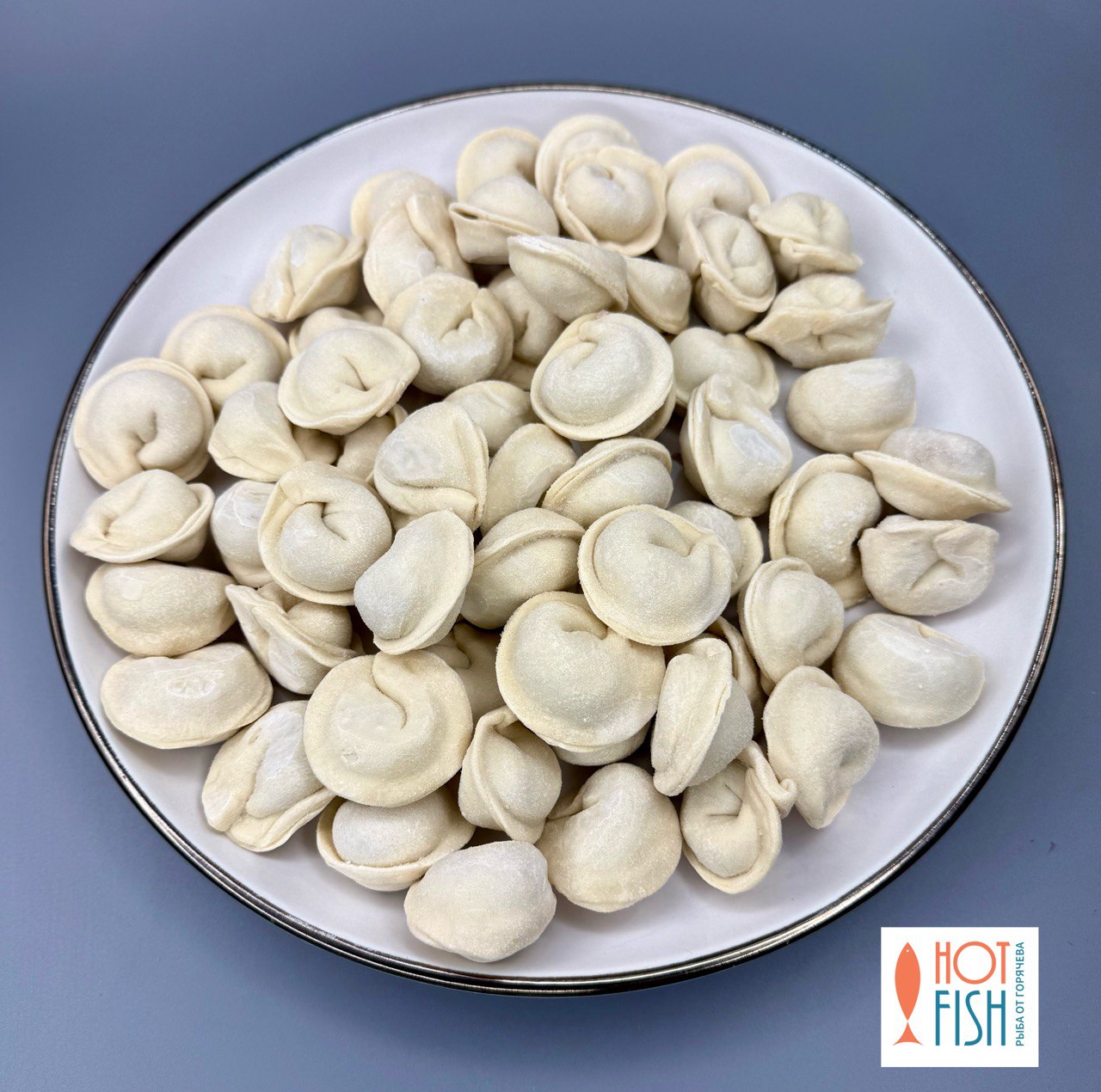 photo_5301002375537562795_y