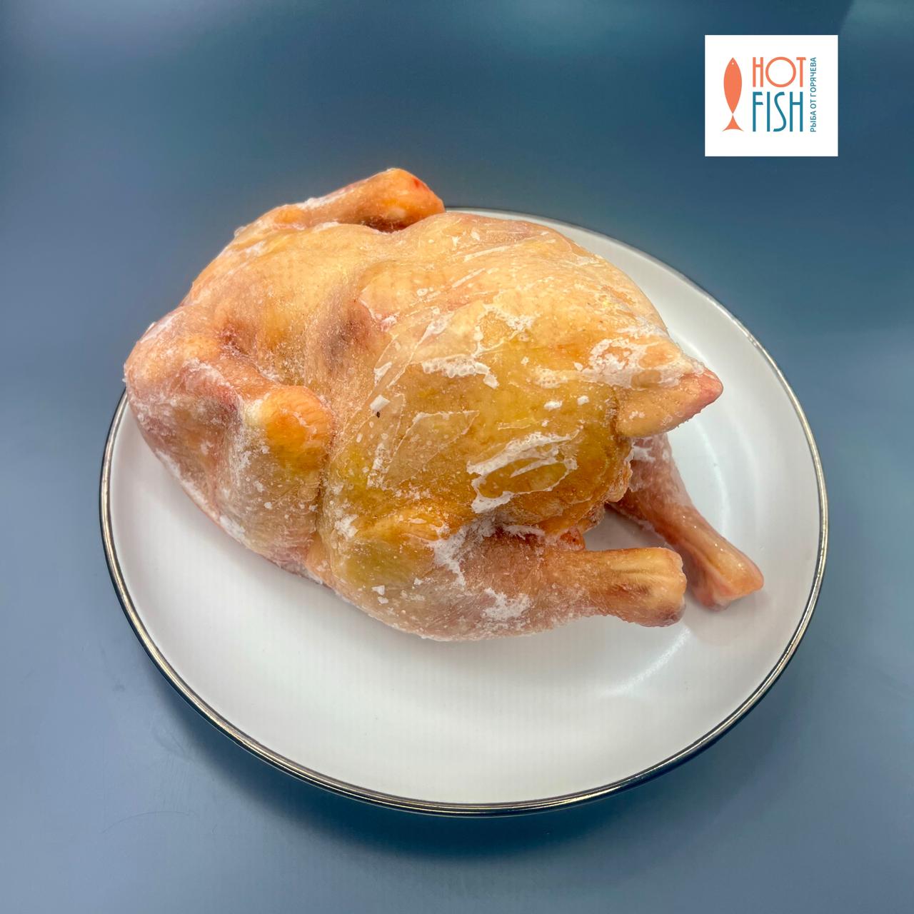 WhatsApp Image 2025-09-17 at 17.35.29 (1)