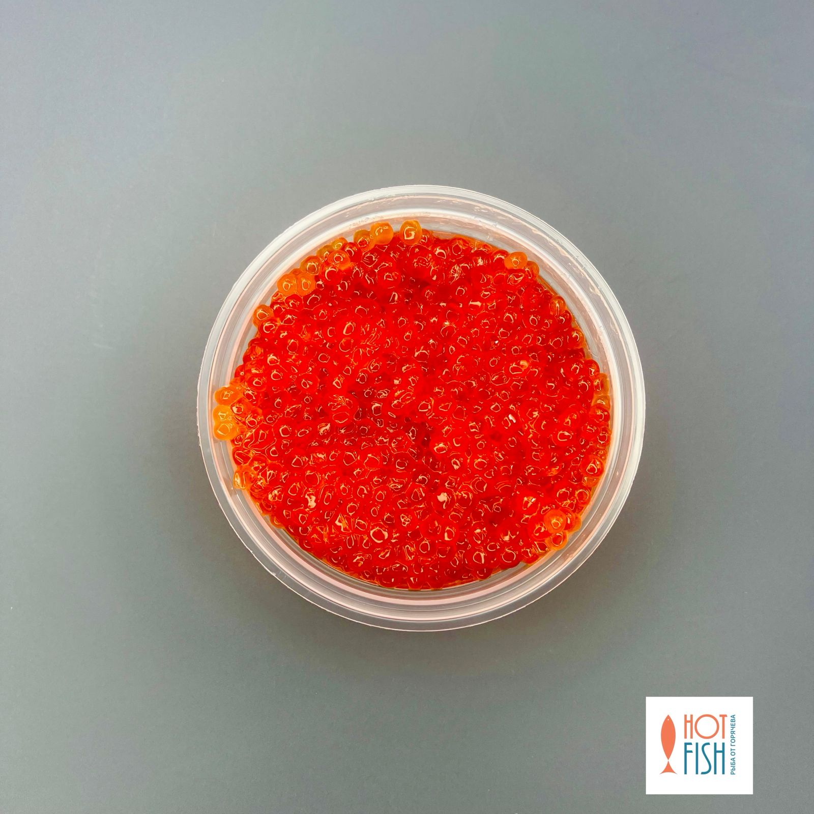 WhatsApp Image 2025-08-21 at 15.42.01 WhatsApp Image 2025-08-21 at 15.42.01