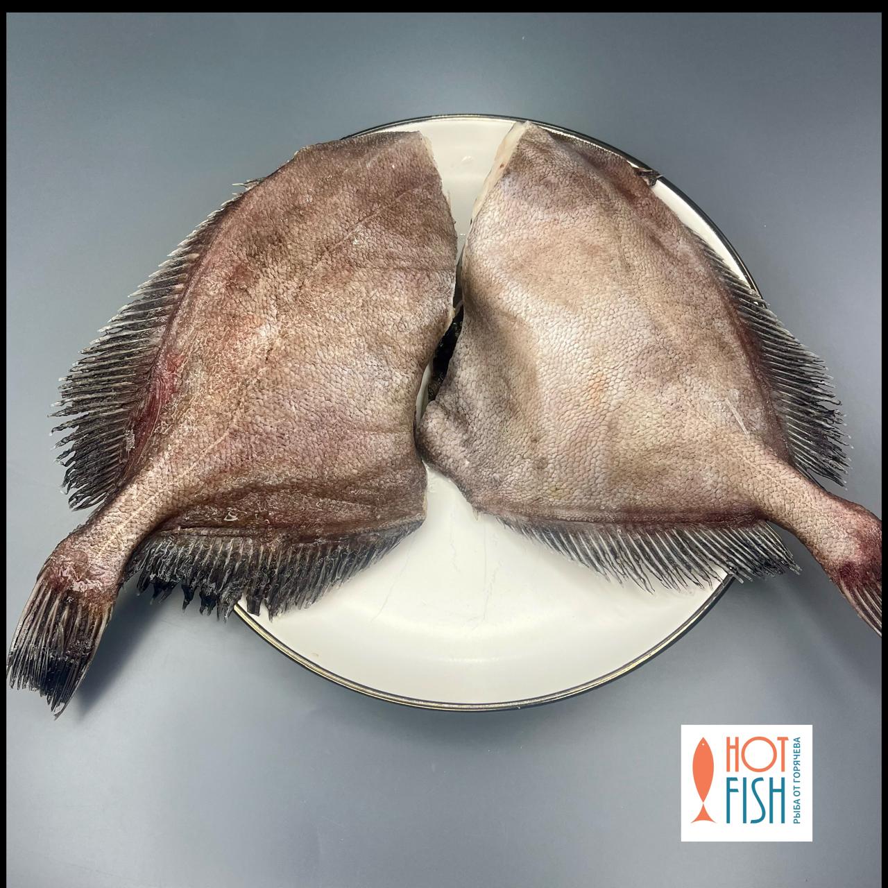 WhatsApp Image 2025-11-06 at 12.44.50