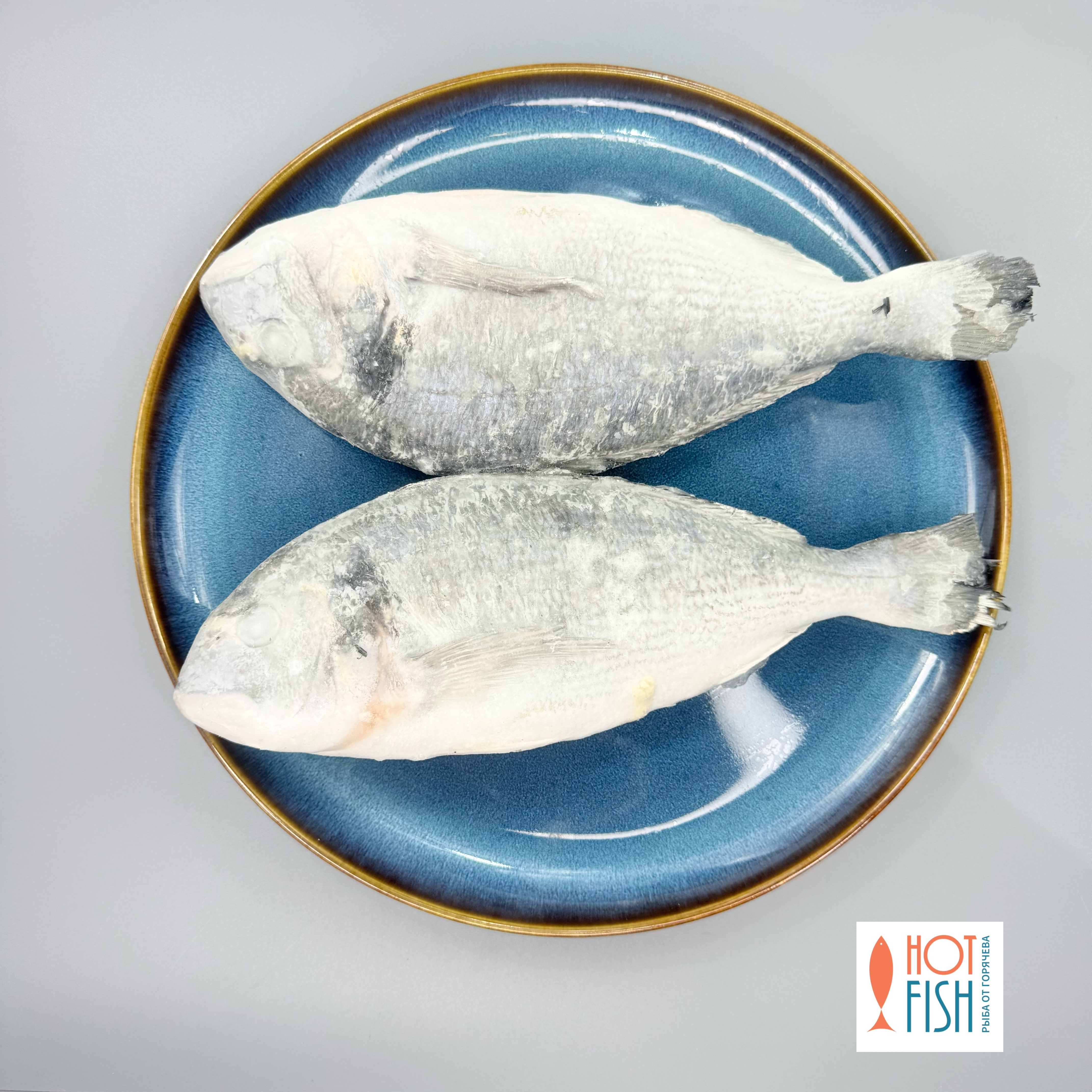 copy_CDC04EEA-8B49-46C1-86DA-9E038D782D86