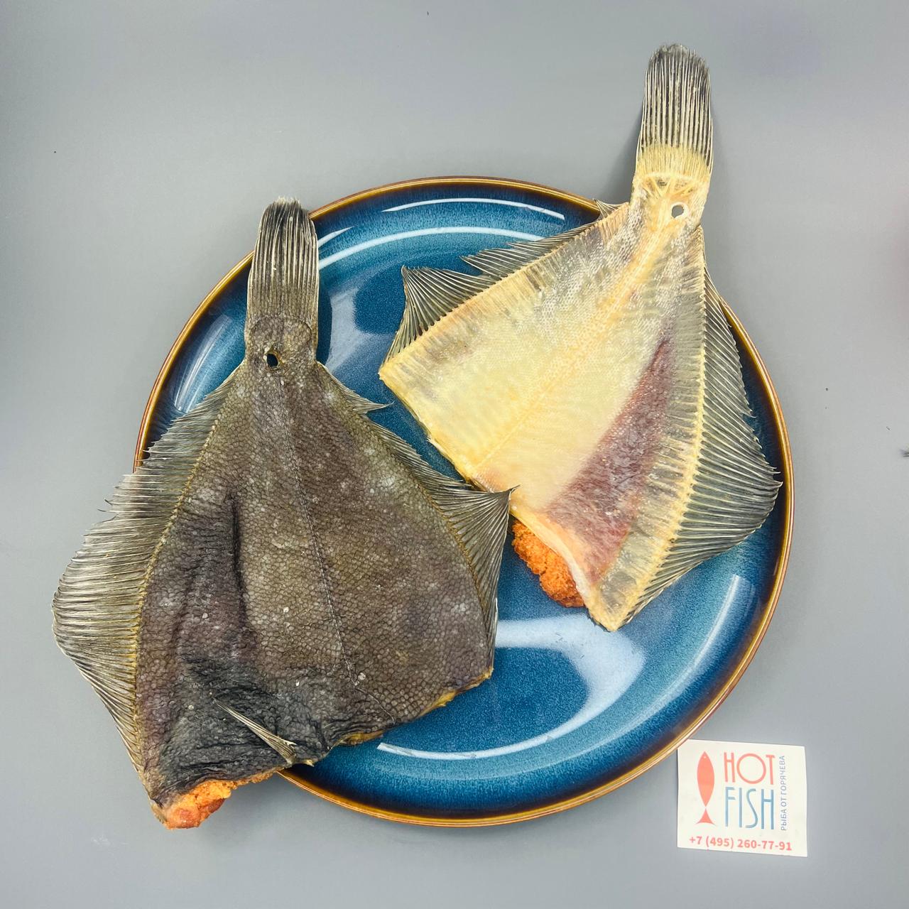 WhatsApp Image 2025-06-06 at 18.01.41 WhatsApp Image 2025-06-06 at 18.01.41