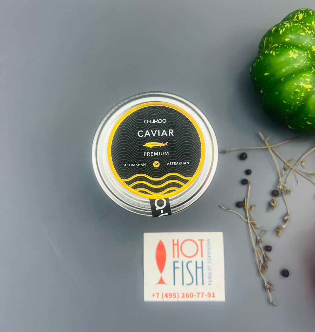 WhatsApp Image 2025-06-17 at 17.05.30 (2)