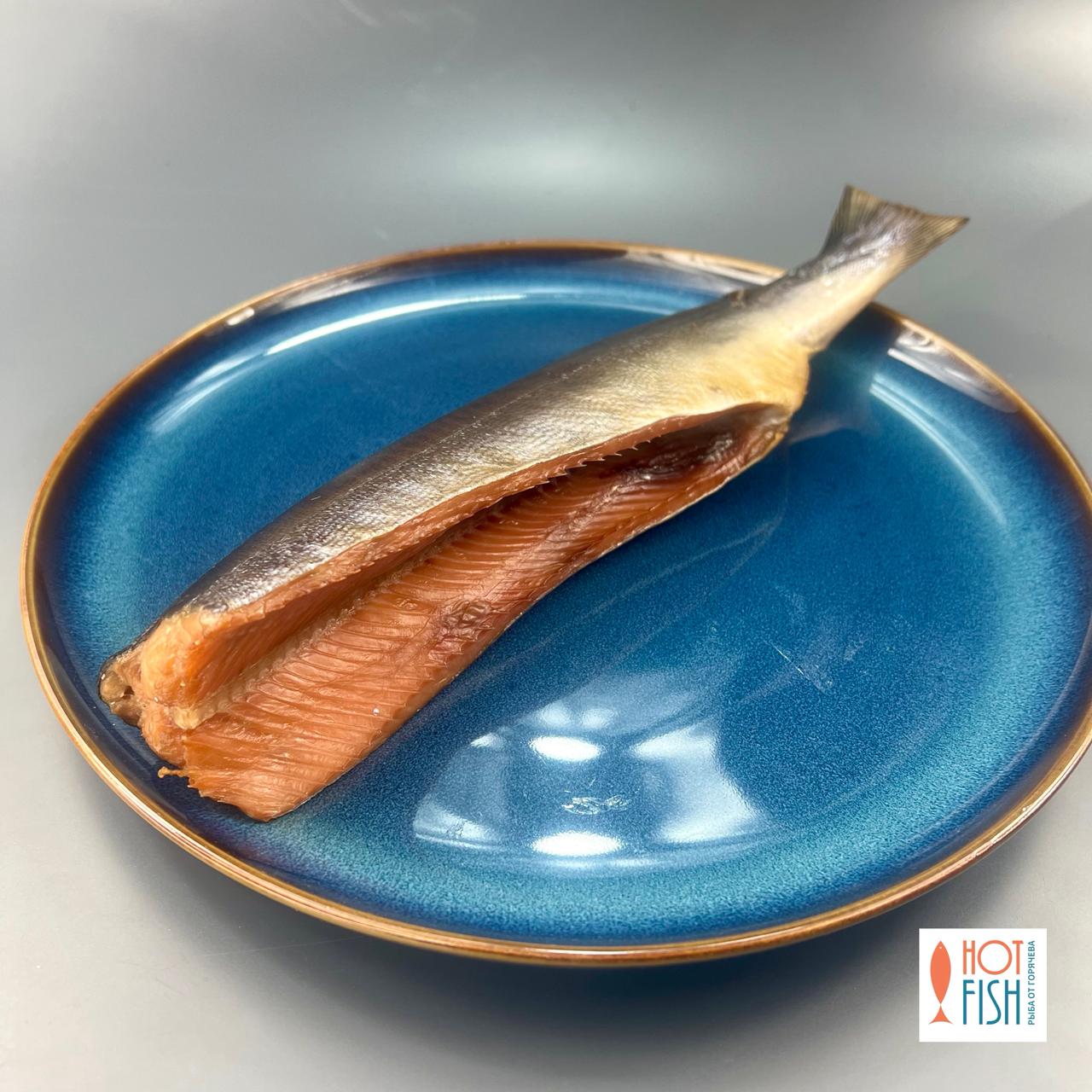 WhatsApp Image 2025-10-03 at 17.44.08 WhatsApp Image 2025-10-03 at 17.44.08