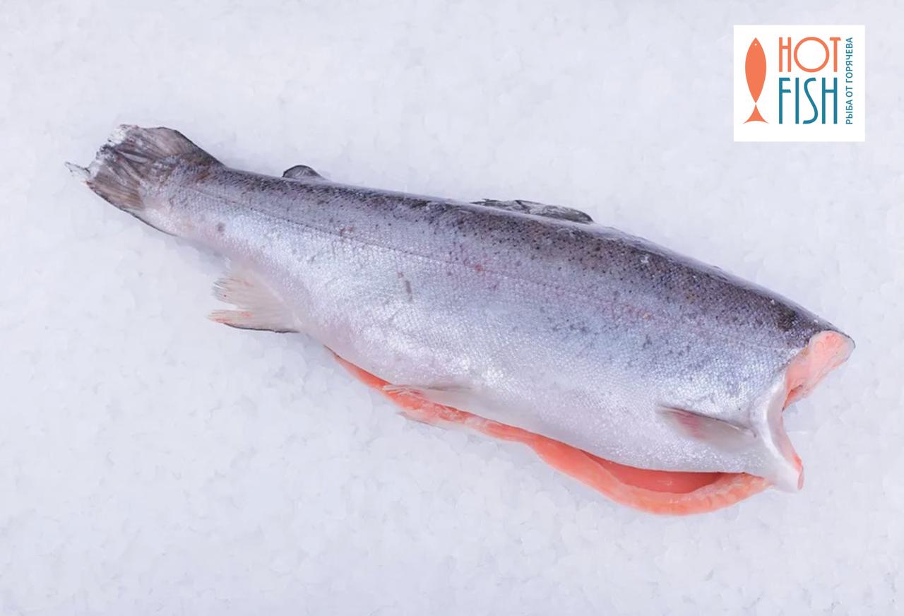 WhatsApp Image 2025-10-03 at 16.45.56