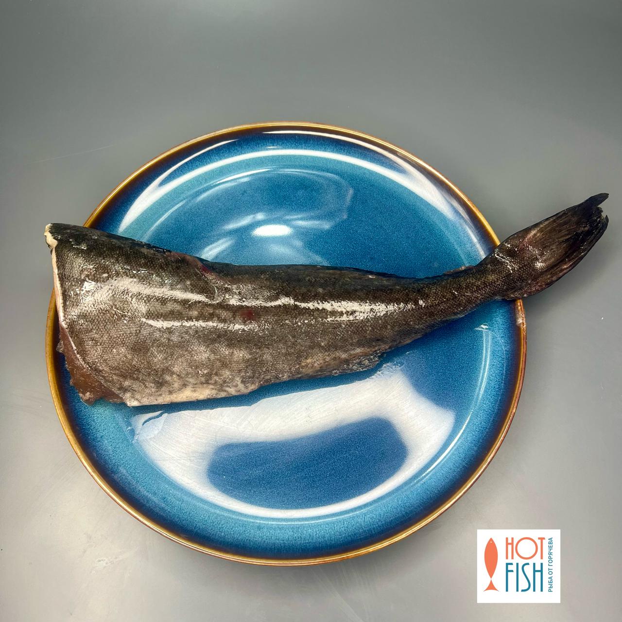 Угольная рыба, Росрыбфлот, потрошеная без головы (чёрная треска) ~700г