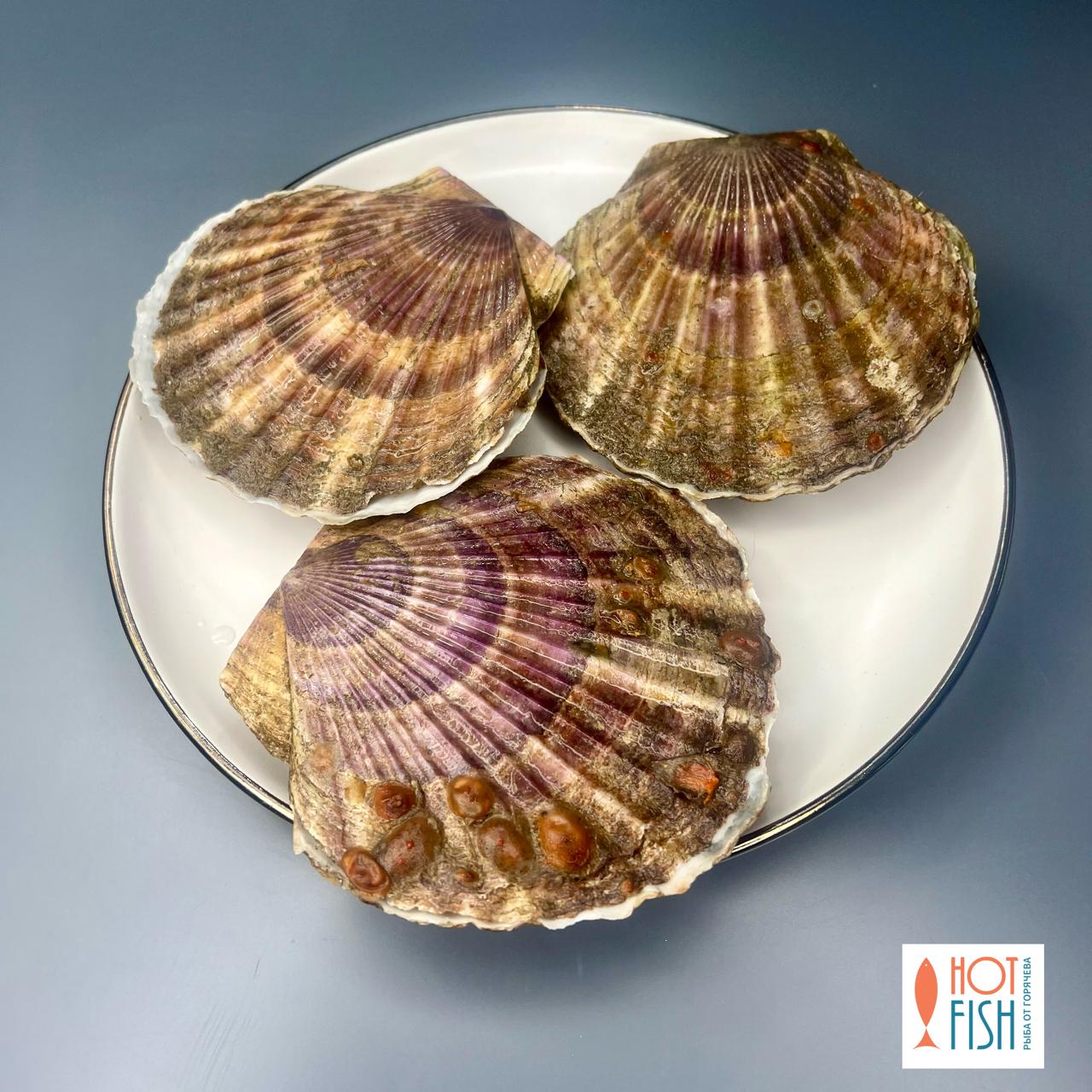 WhatsApp Image 2025-11-06 at 09.32.19