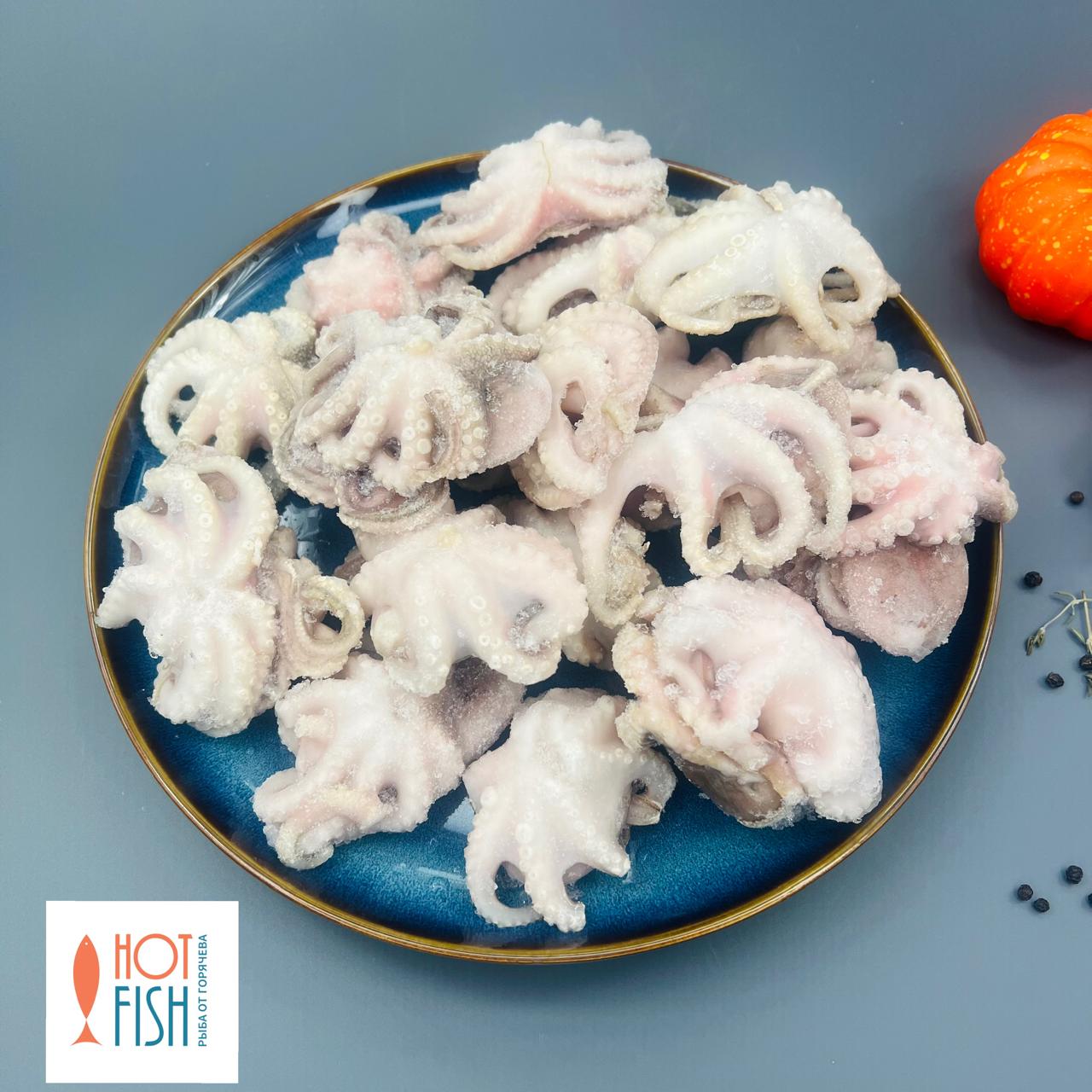 WhatsApp Image 2025-07-29 at 14.13.05