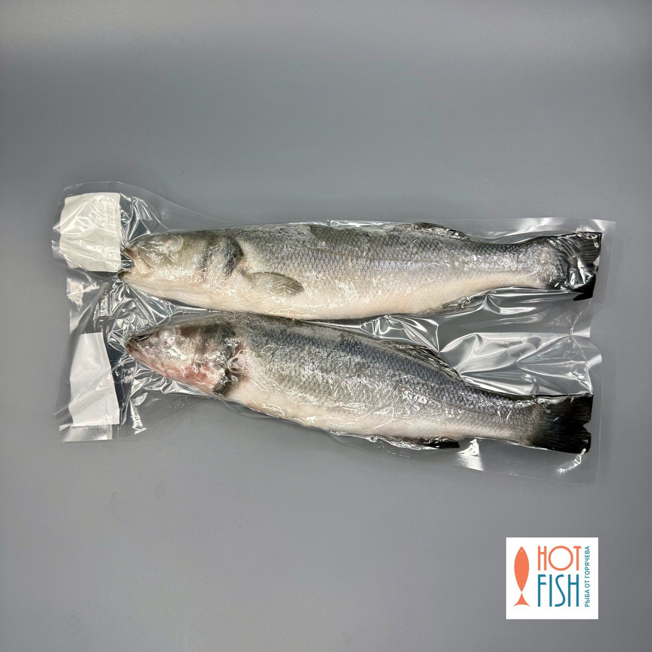 photo_5427188278470840132_y