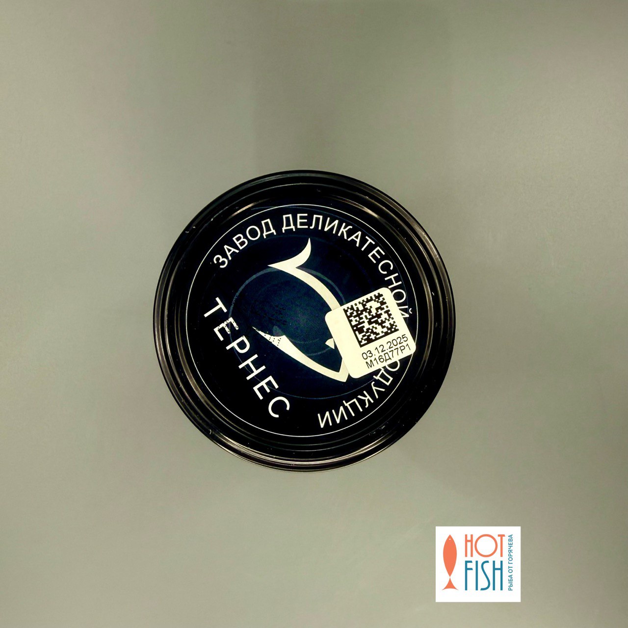 photo_5316884022136869257_y