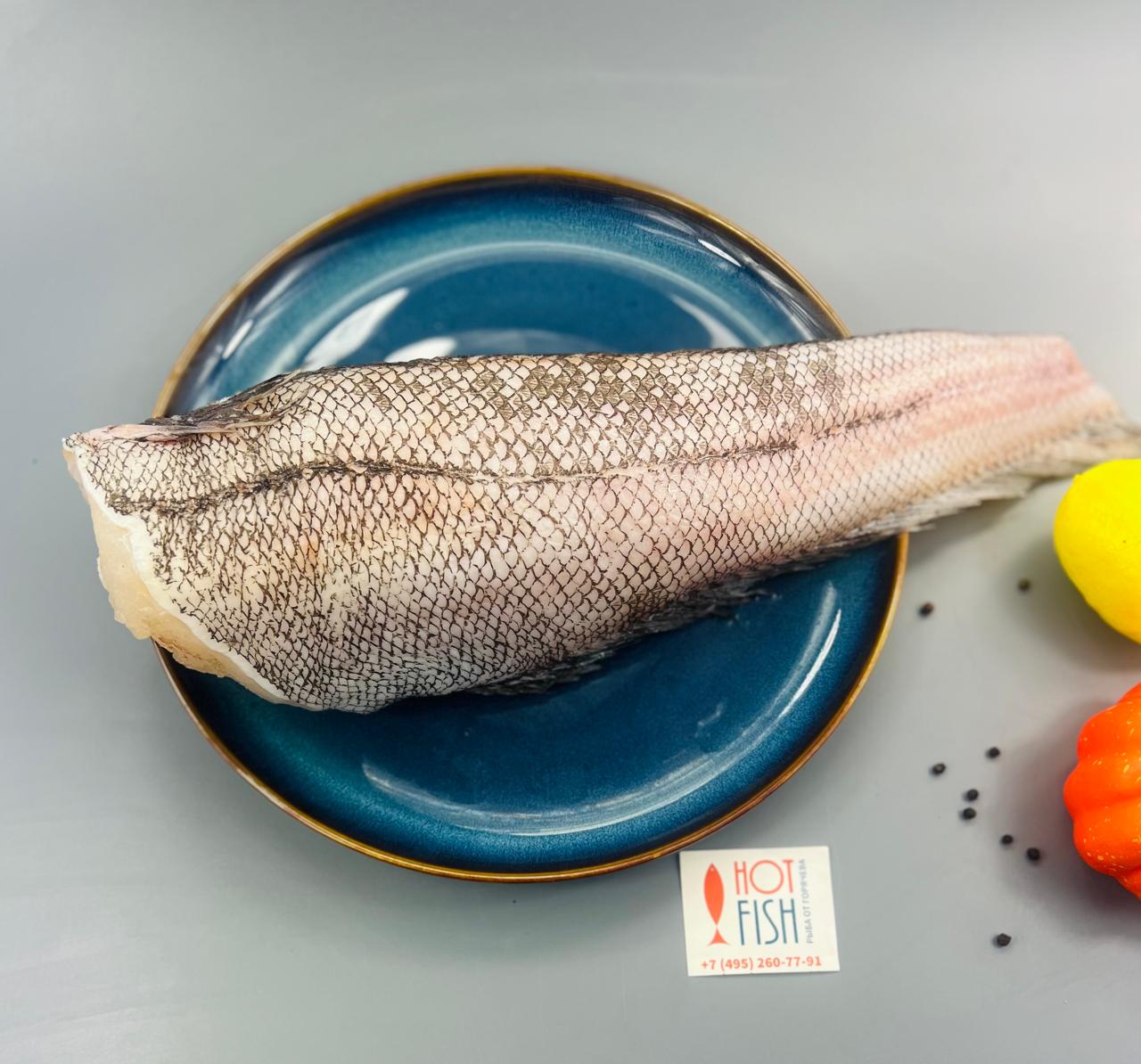 WhatsApp Image 2025-02-21 at 16.48.25 WhatsApp Image 2025-02-21 at 16.48.25