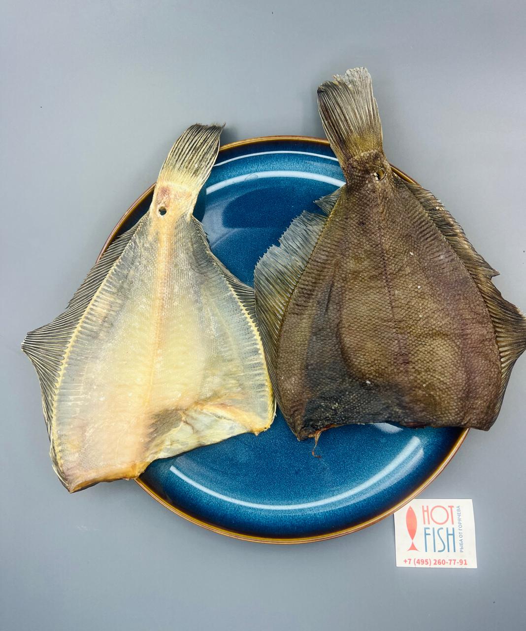 WhatsApp Image 2025-06-06 at 17.59.19