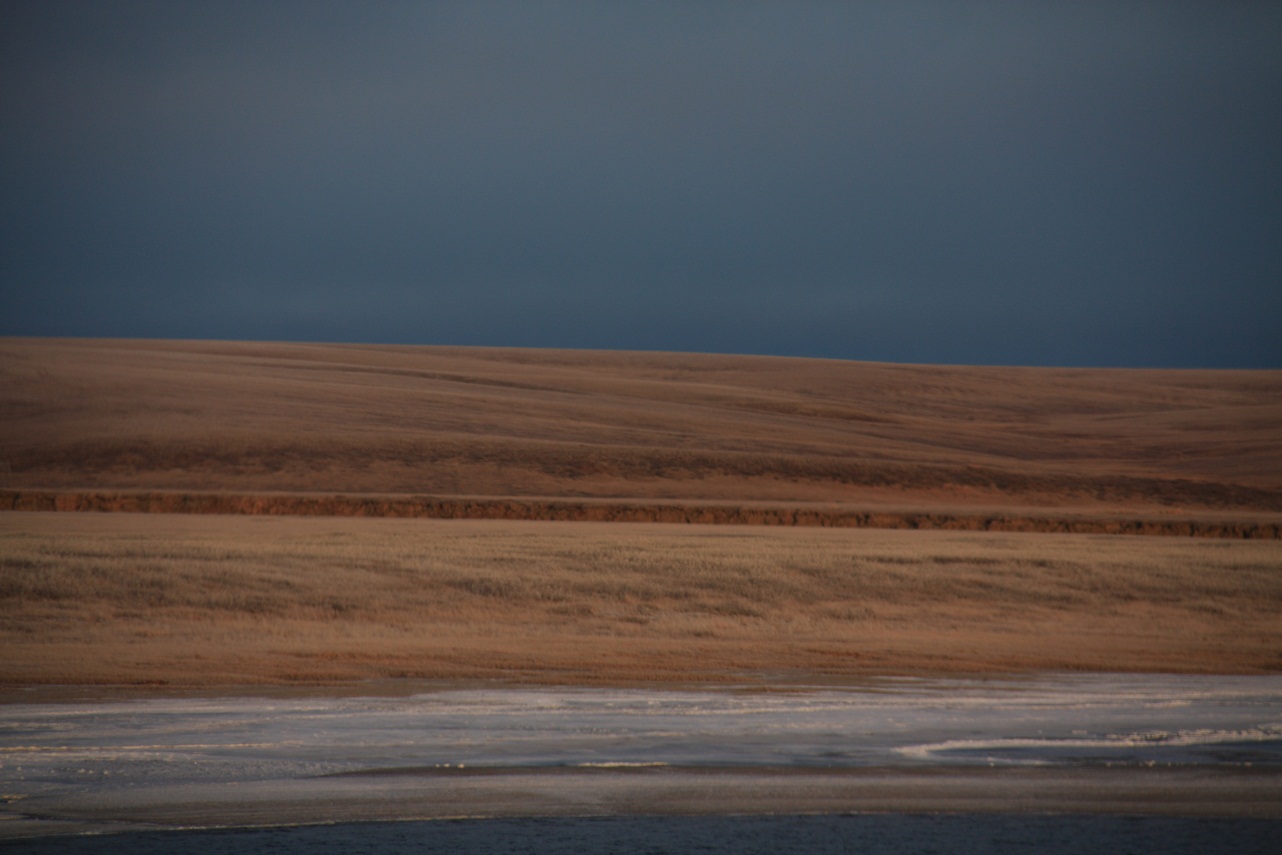 147135_original 147135_original