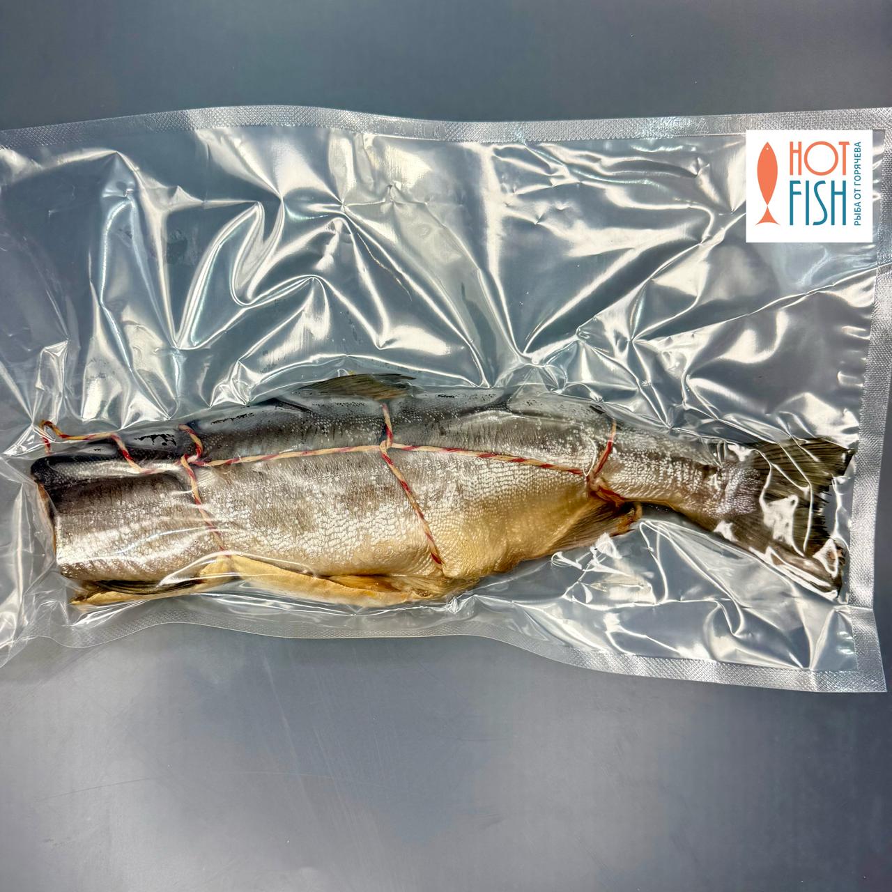 WhatsApp Image 2025-11-28 at 12.57.14 (1)