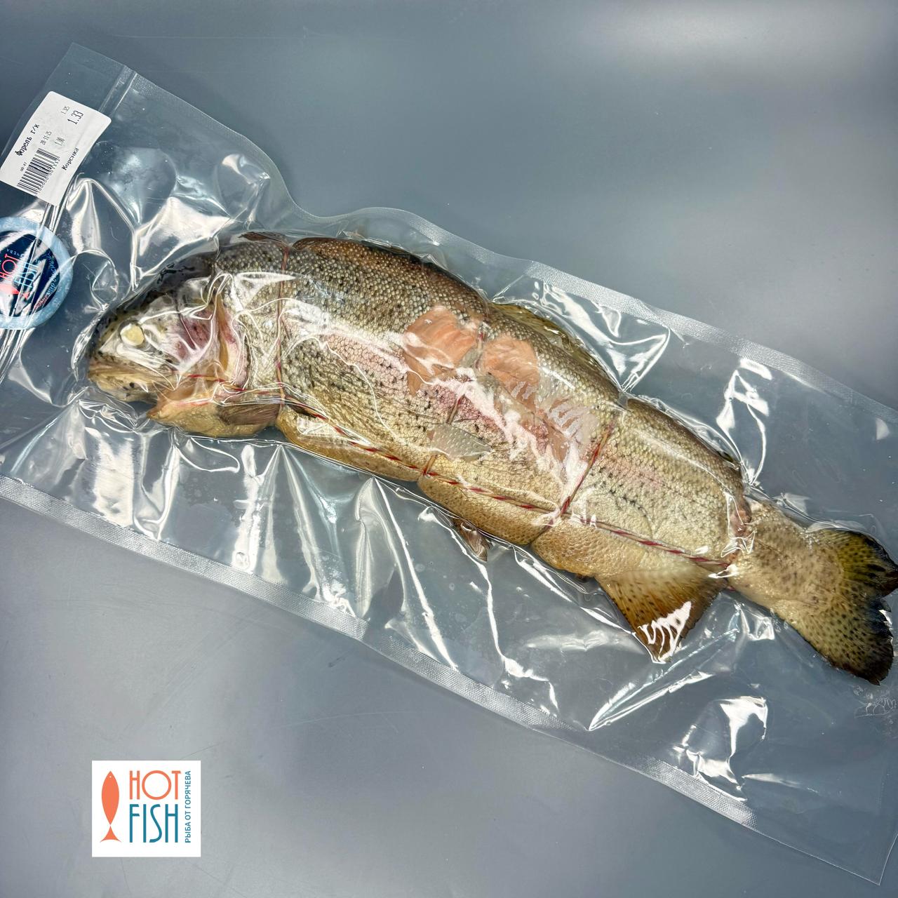 WhatsApp Image 2025-11-28 at 12.42.26 (1)