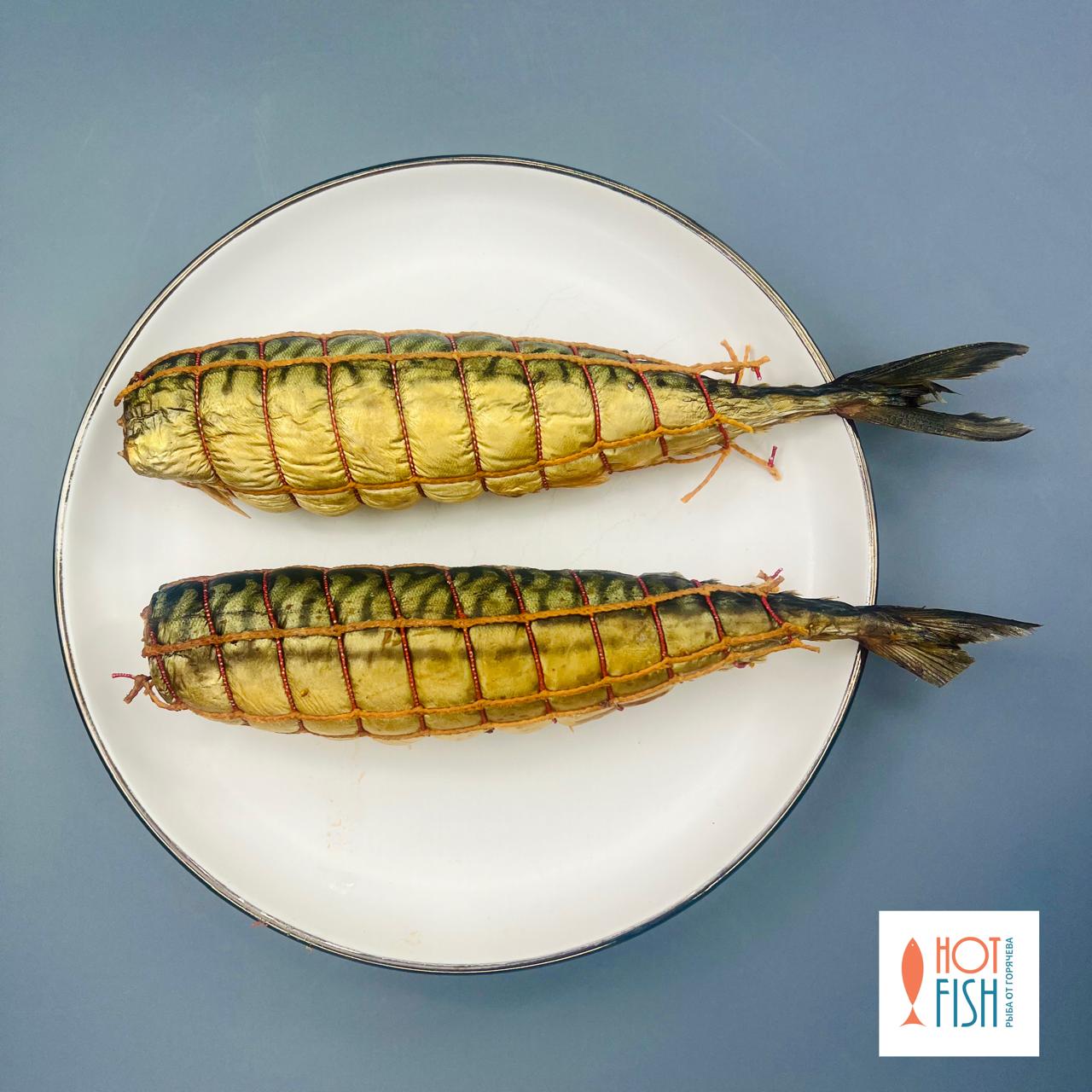 WhatsApp Image 2025-08-27 at 17.34.31